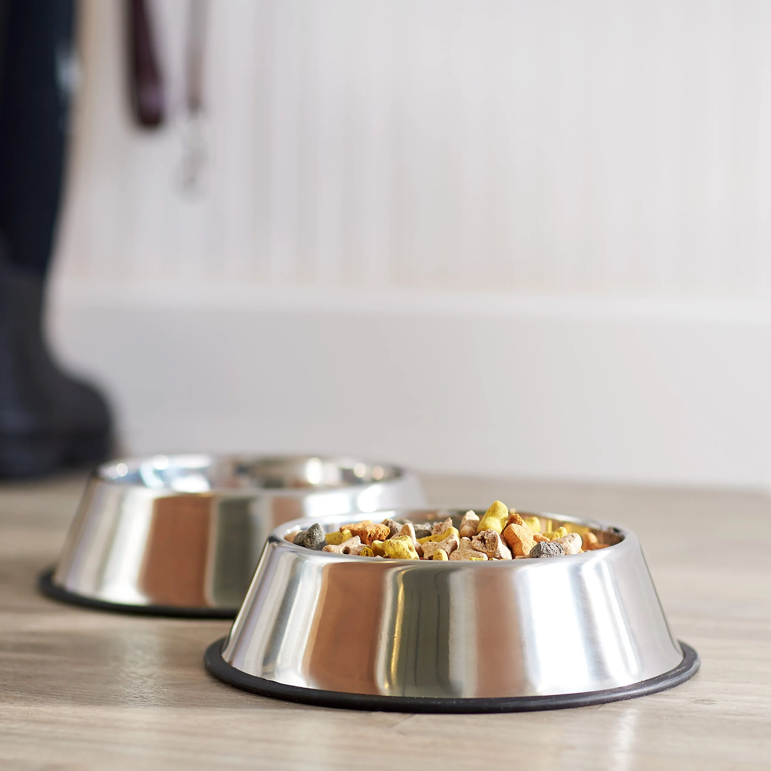 Amazon Basics Ciotola per cani in acciaio inossidabile, confezione da 2 - immagine 6