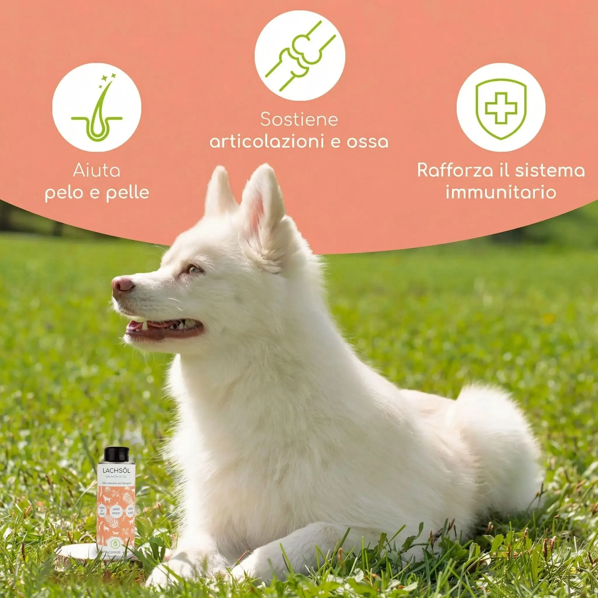 Wolfsbacher Olio di Salmone per Cani e Gatti con Omega 3 & 6, 250ml - immagine 2