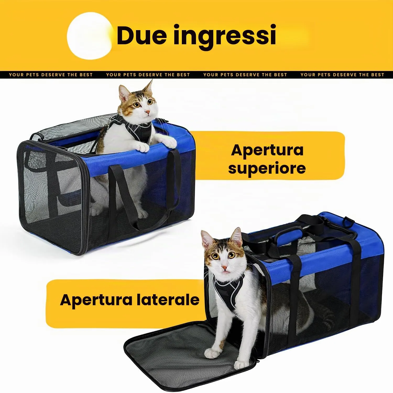 Conlun Trasportino per Gatti e Cani Pieghevole, Fino a 6 Kg, Blu - immagine 3