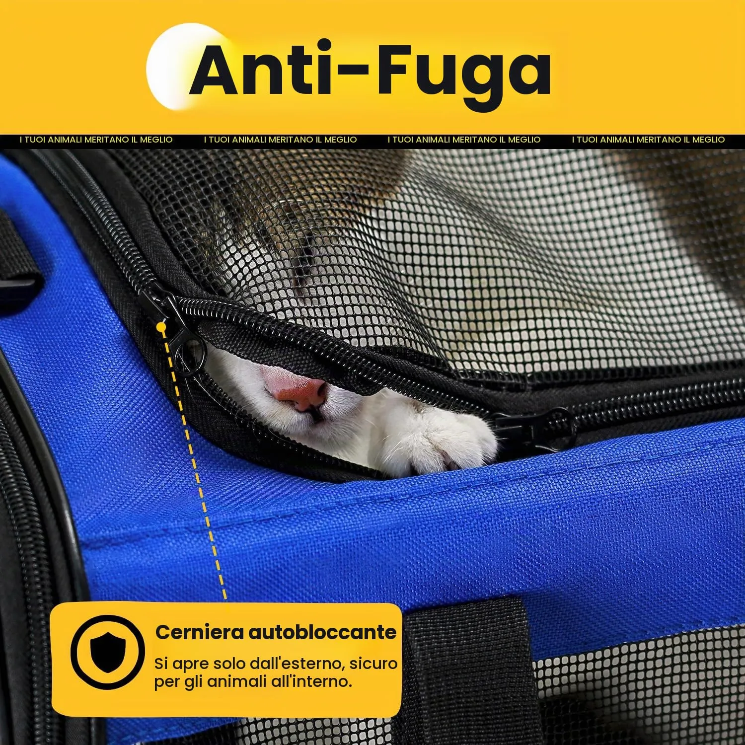 Conlun Trasportino per Gatti e Cani Pieghevole, Fino a 6 Kg, Blu - immagine 4