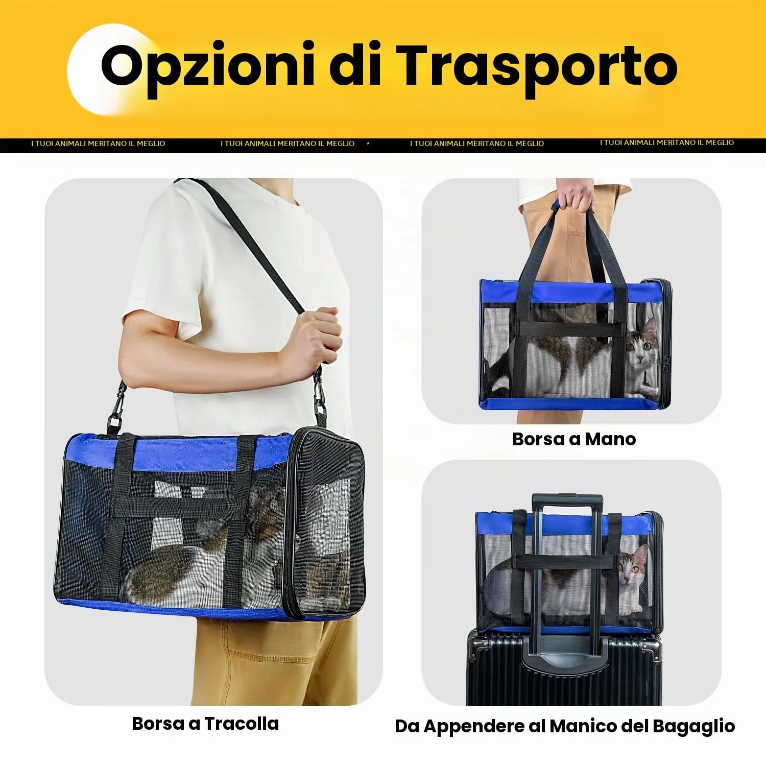 Conlun Trasportino per Gatti e Cani Pieghevole, Fino a 6 Kg, Blu - immagine 7