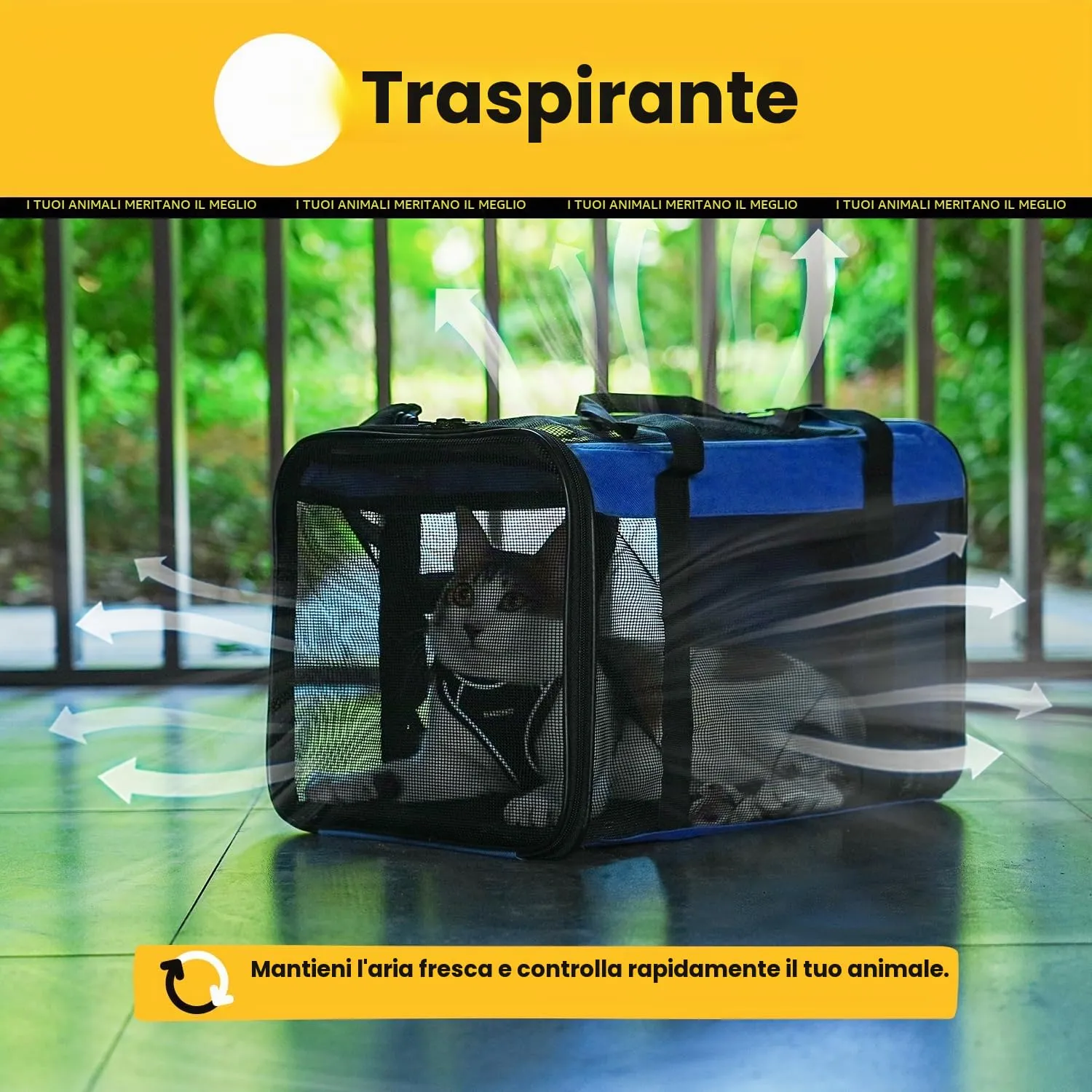 Conlun Trasportino per Gatti e Cani Pieghevole, Fino a 6 Kg, Blu - immagine 8