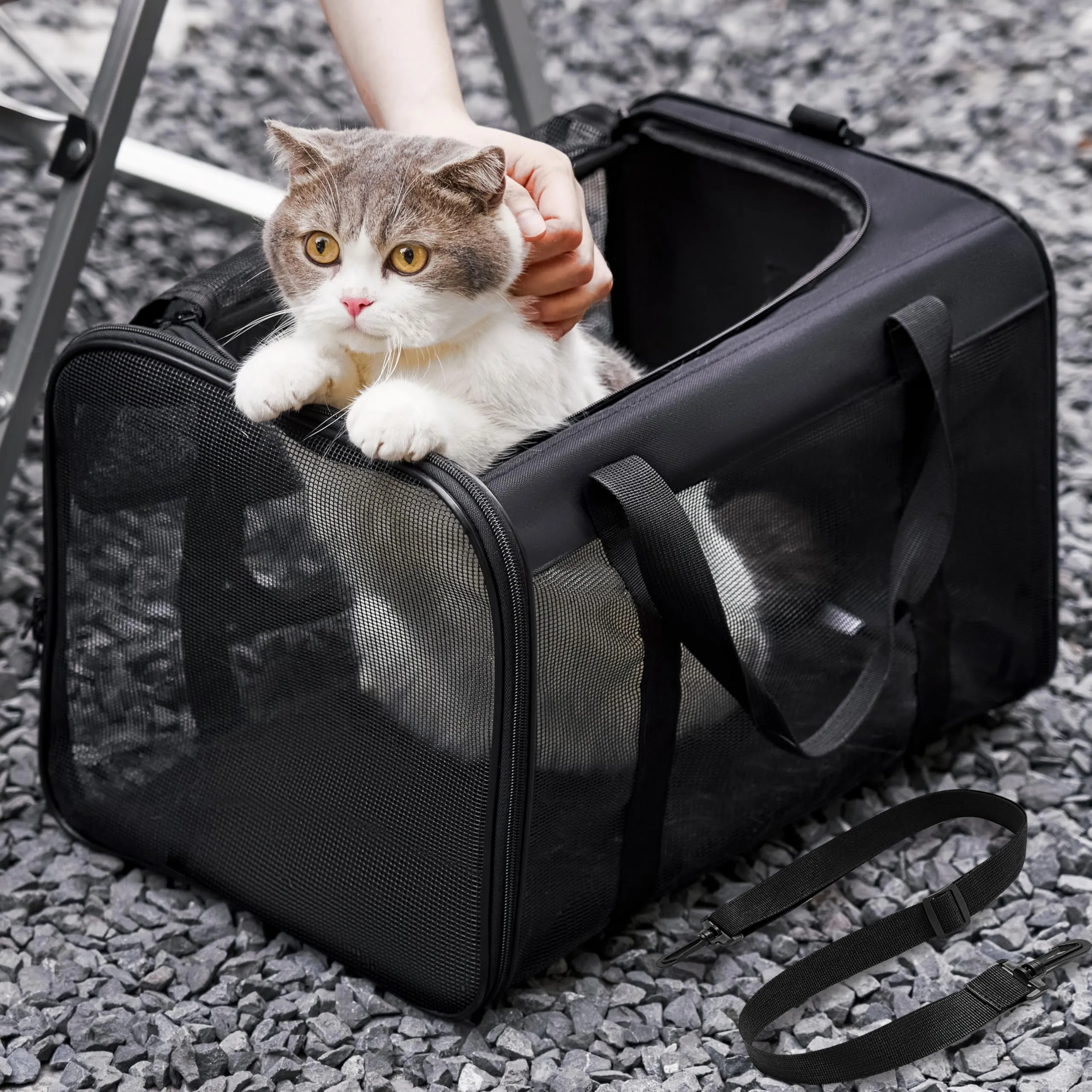 Conlun Trasportino Pieghevole per Gatti e Cani fino a 6 kg, Nero - immagine 2