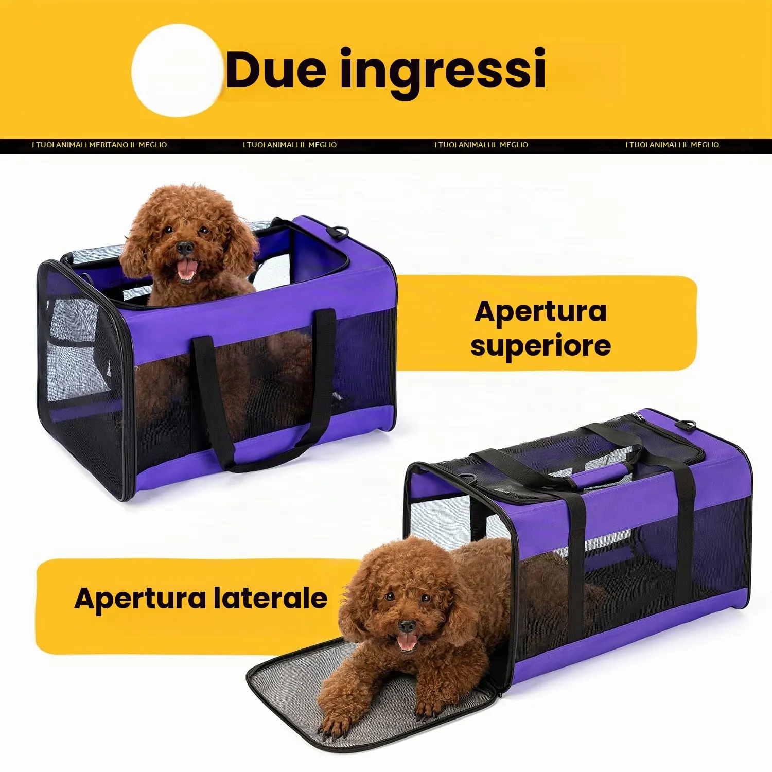 Conlun Trasportino Morbido per Cani e Gatti, Zaino da Viaggio Pieghevole, Taglia L, Viola - immagine 4