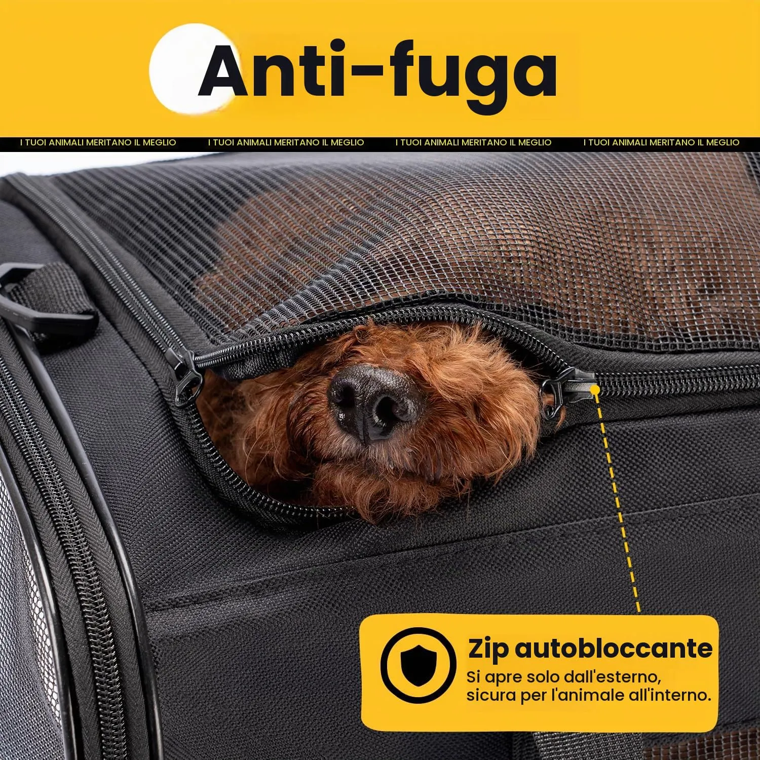 Conlun Trasportino Morbido per Cani e Gatti, Zaino da Viaggio Pieghevole, Taglia L, Viola - immagine 6