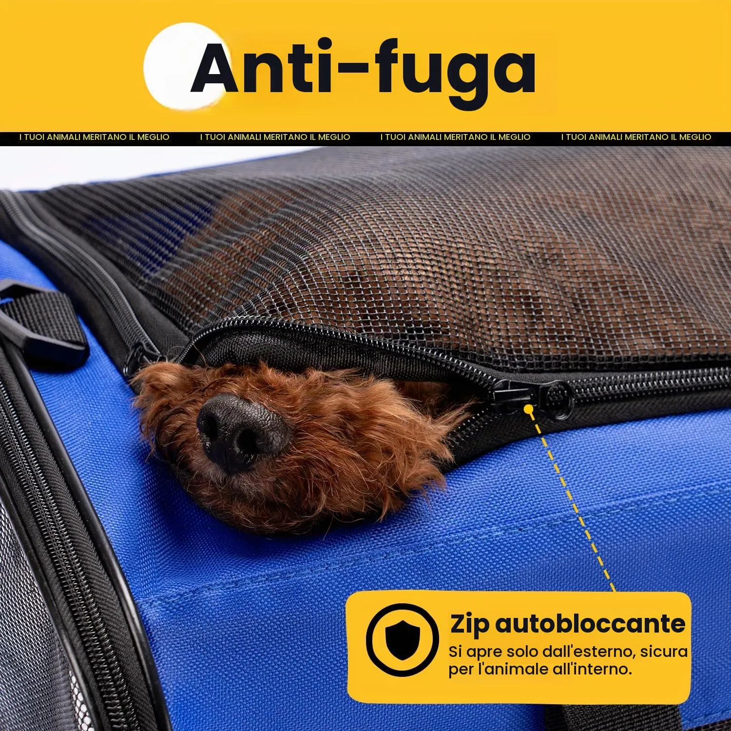 Conlun Trasportino Morbido per Cani e Gatti, Taglia L, Blu - immagine 6