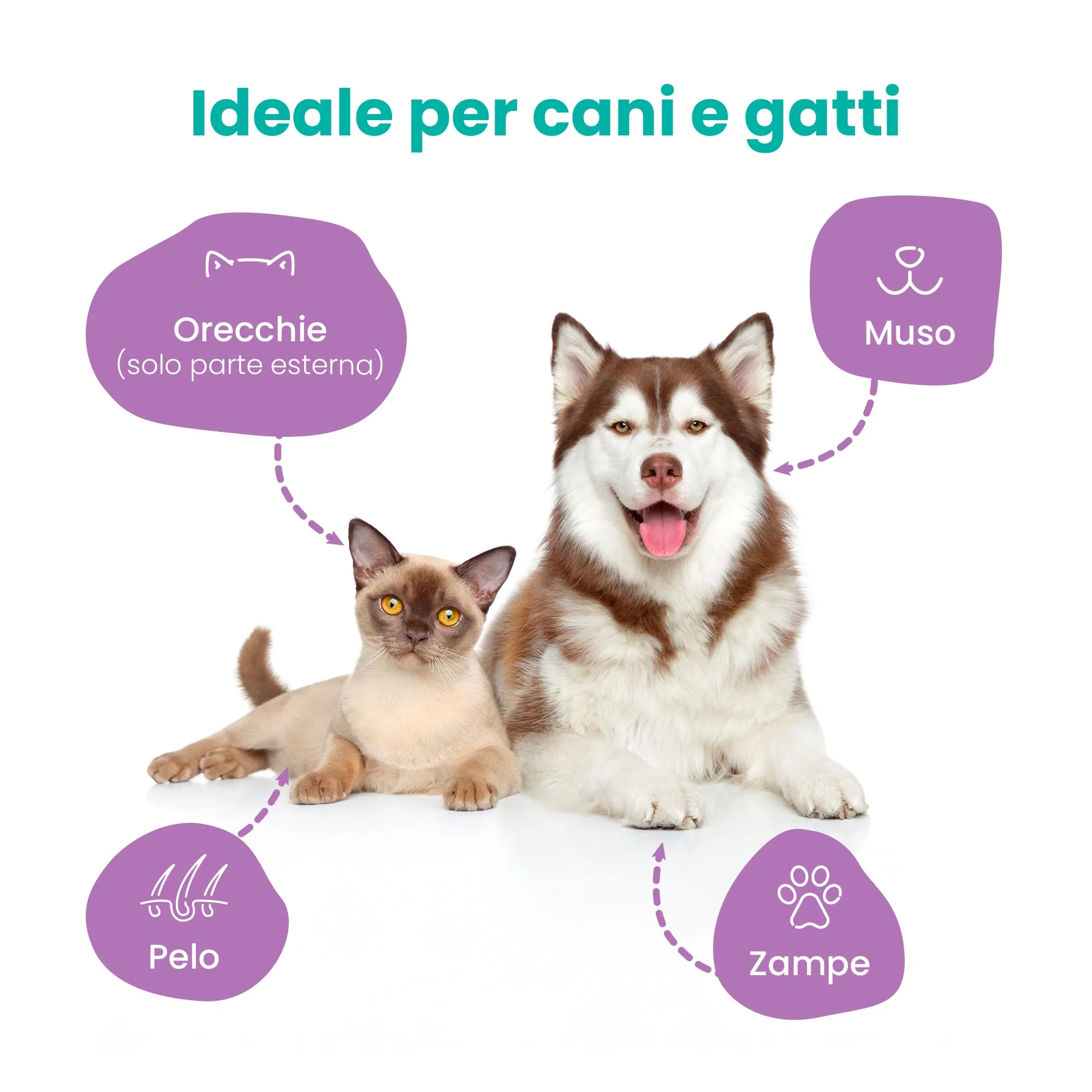 Camon Salviette Detergenti per Cani e Gatti, 30x20 cm, 40 Unità - immagine 2