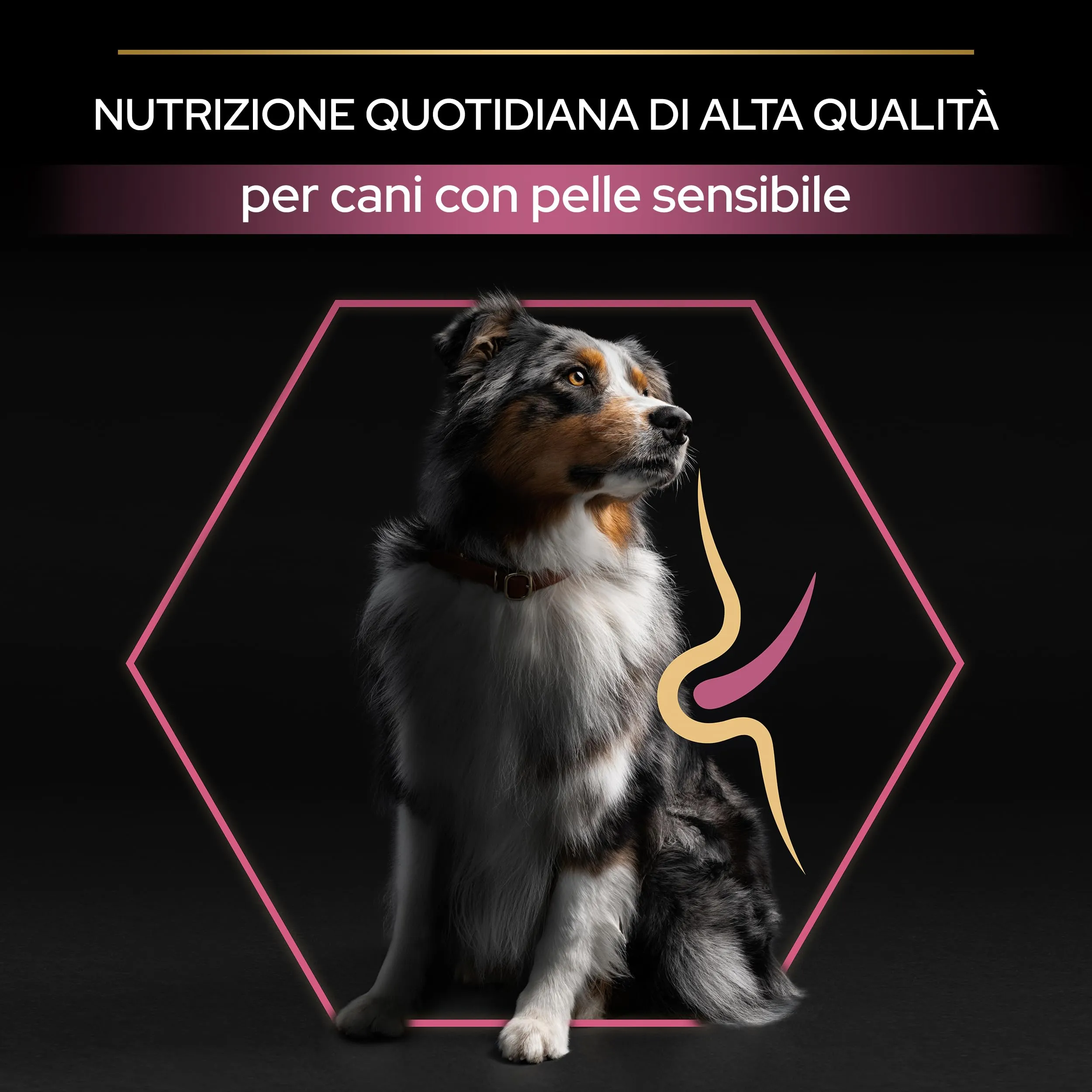 Purina Pro Plan Optiderma Medium e Large Adult 7+ Crocchette Cani, 14 kg - immagine 2