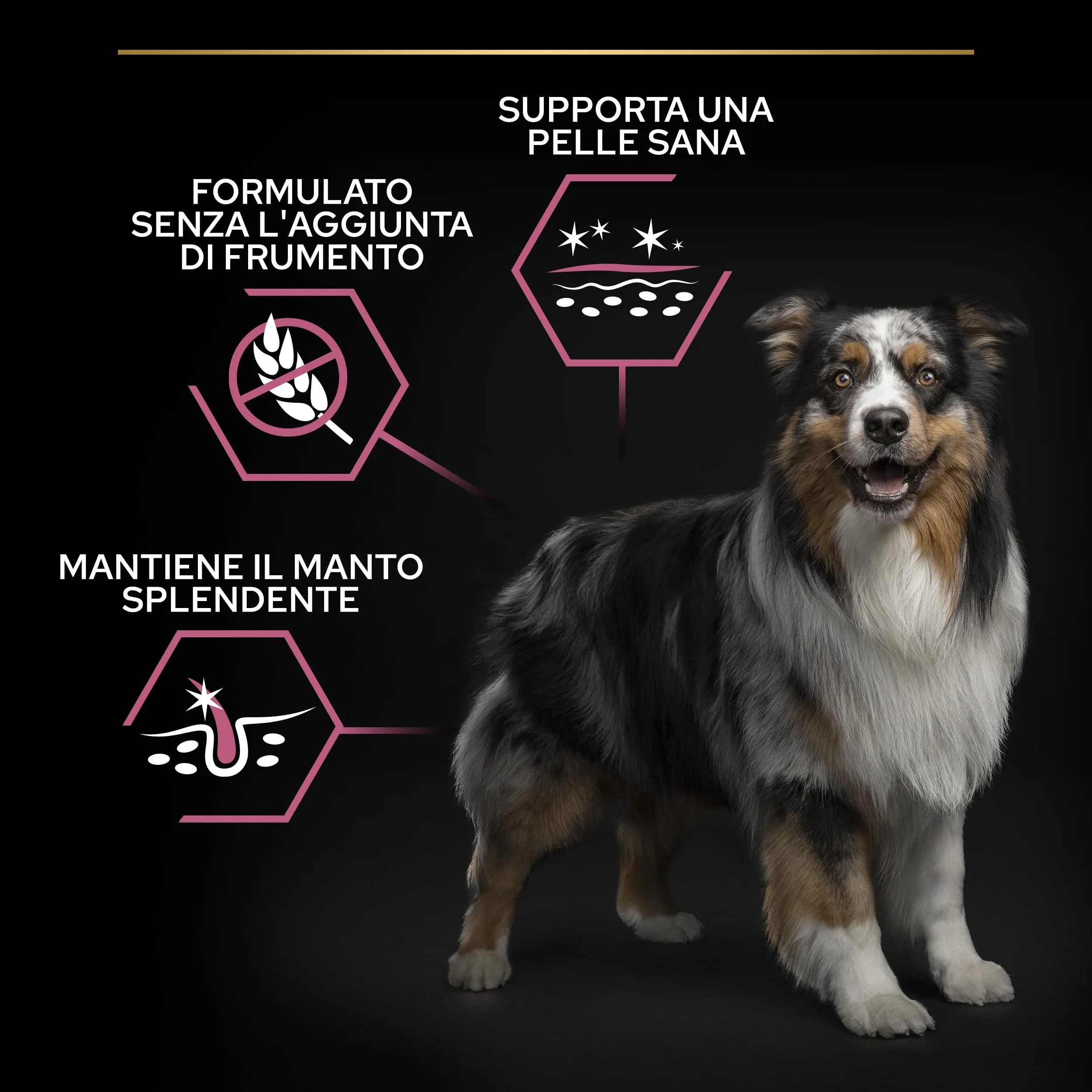 Purina Pro Plan Optiderma Medium e Large Adult 7+ Crocchette Cani, 14 kg - immagine 3