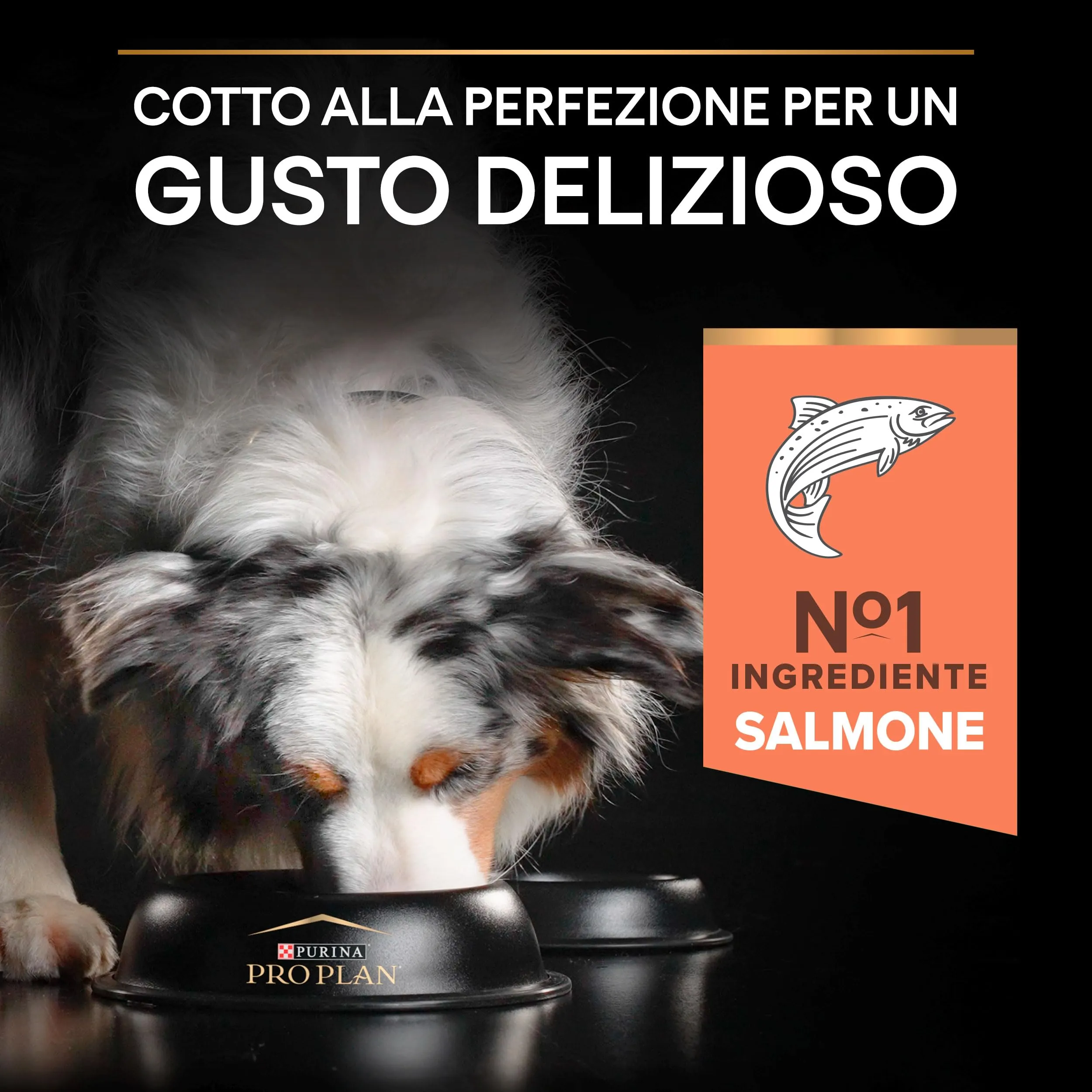 Purina Pro Plan Optiderma Medium e Large Adult 7+ Crocchette Cani, 14 kg - immagine 4