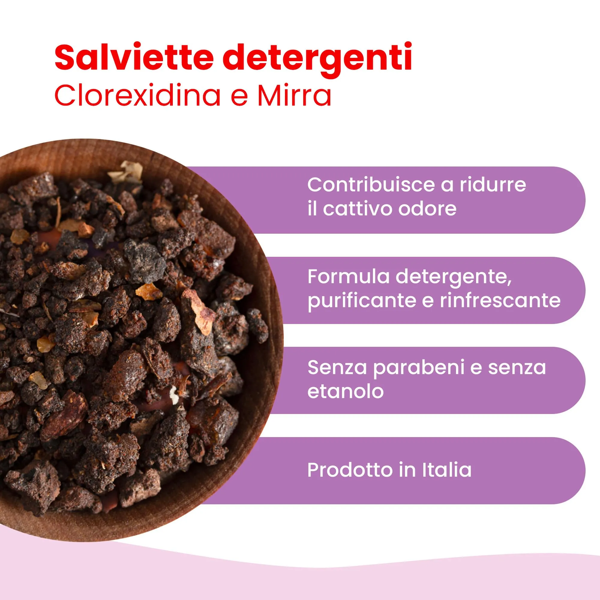 Camon Salviette Detergenti per Cani e Gatti, 30x20 cm, Fragranza Mirra - immagine 2