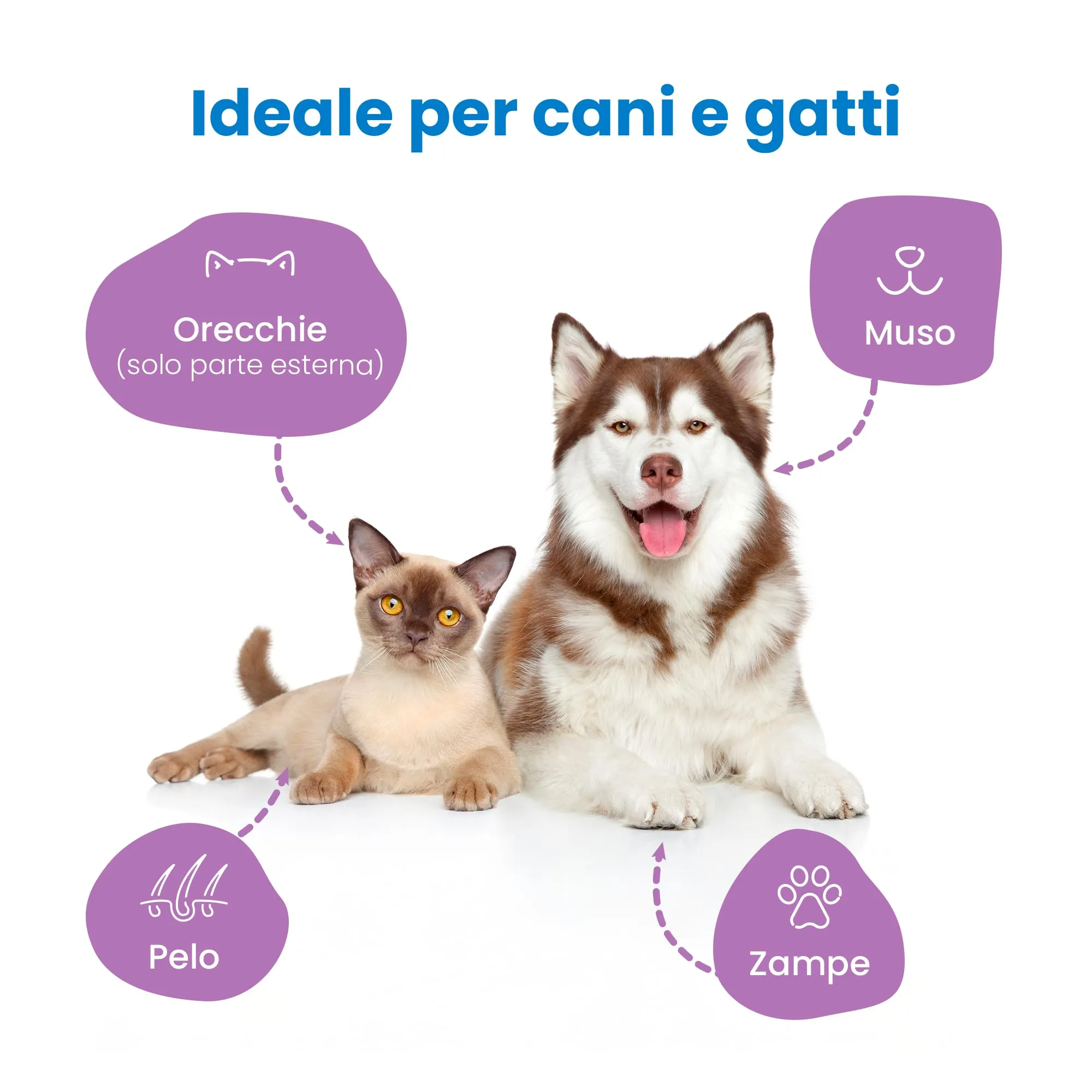 Camon Salviette Detergenti per Cani e Gatti, Talco, 30x20 cm - immagine 3