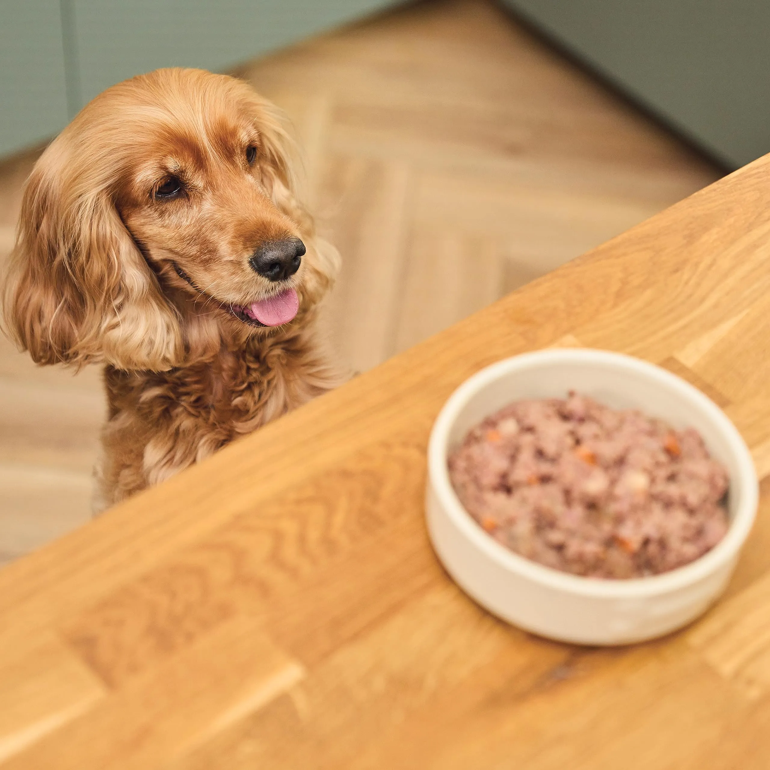 Lily's Kitchen Cibo Umido per Cani, Multipack 6 x 150g - immagine 5