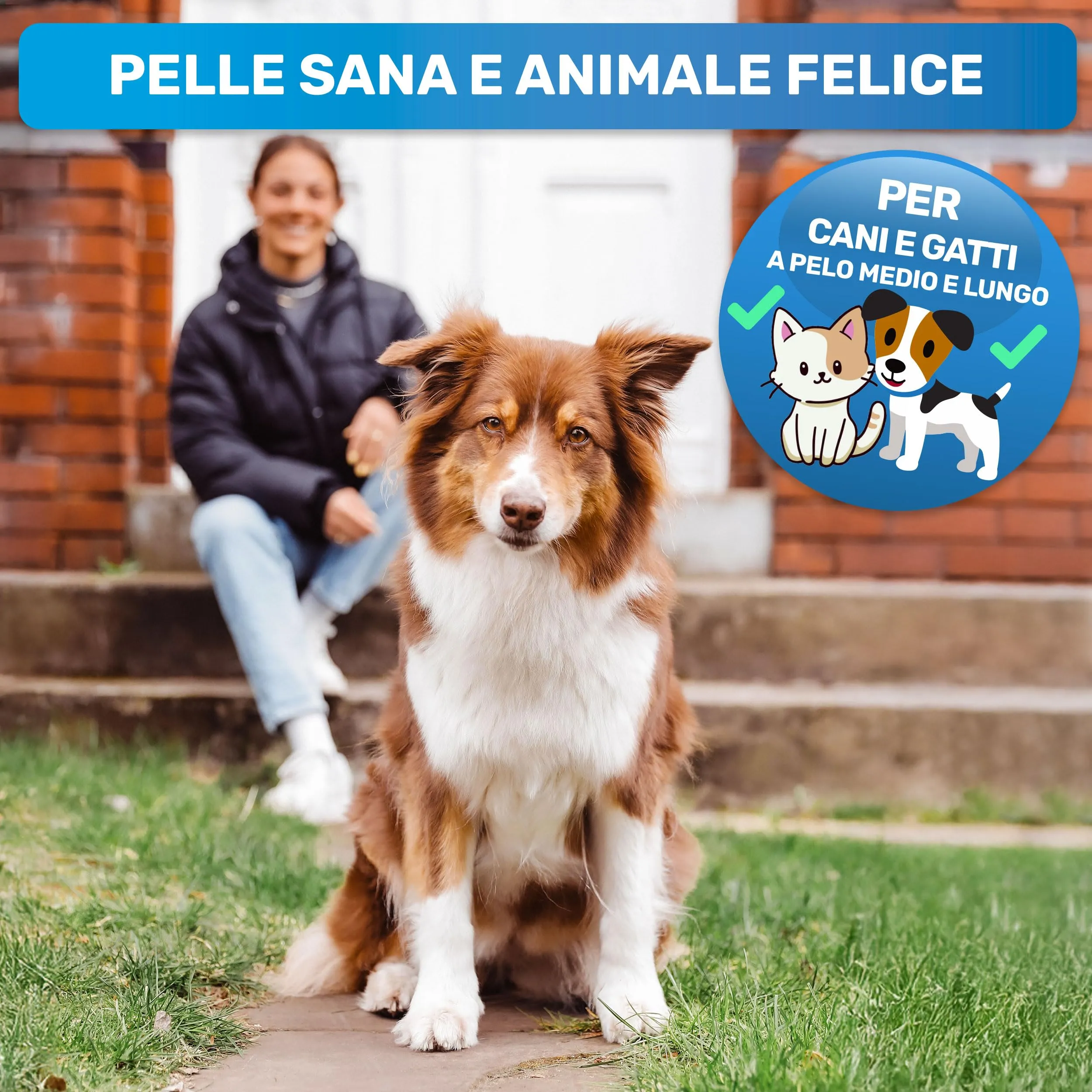 BluePet Spazzola per Cani e Gatti Pelo Lungo, Cardatore Sottopelo, M-L 2.0 Rosa - immagine 5