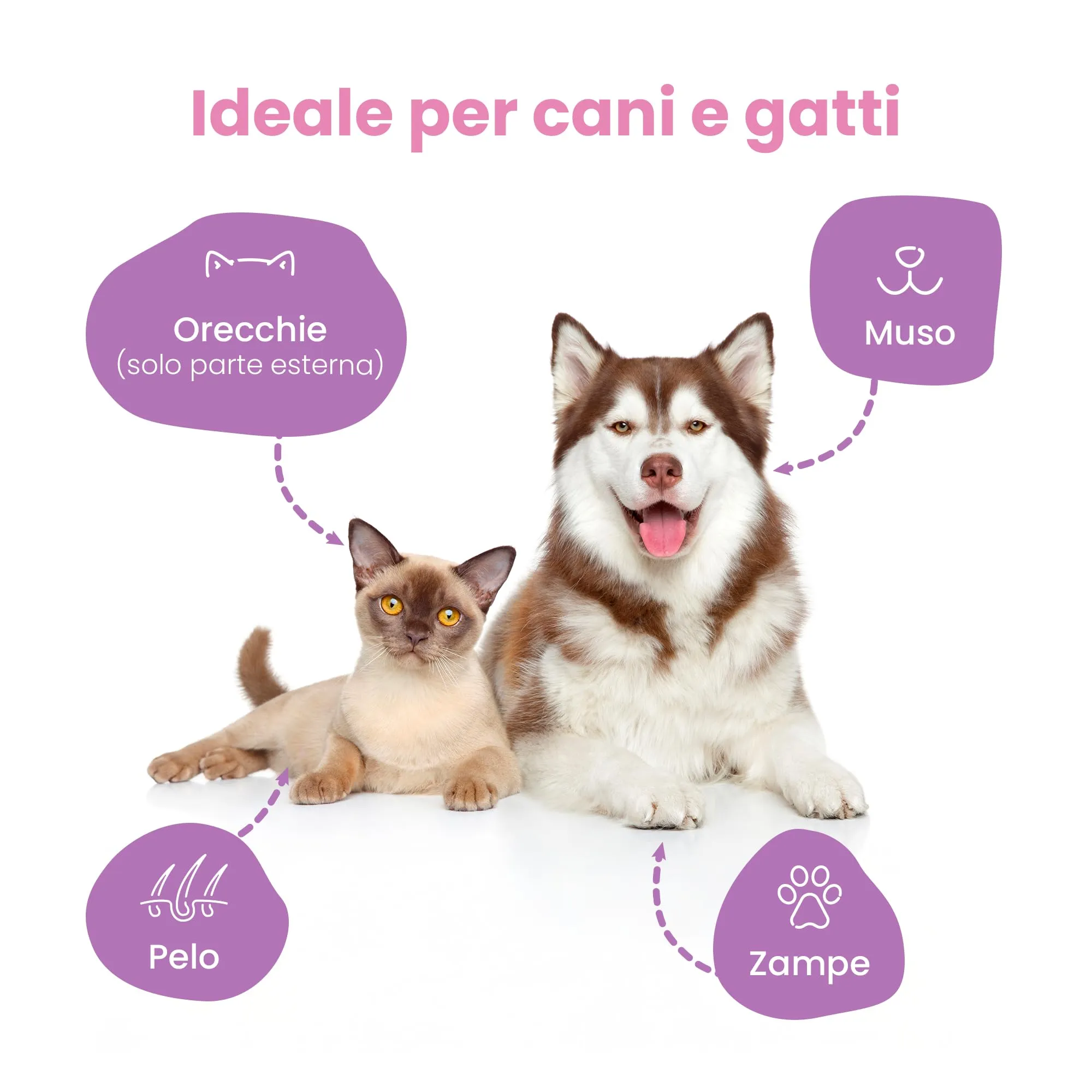 Camon Salviette Detergenti per Cani e Gatti, Box da 40 Salviette, 30x20cm - immagine 3