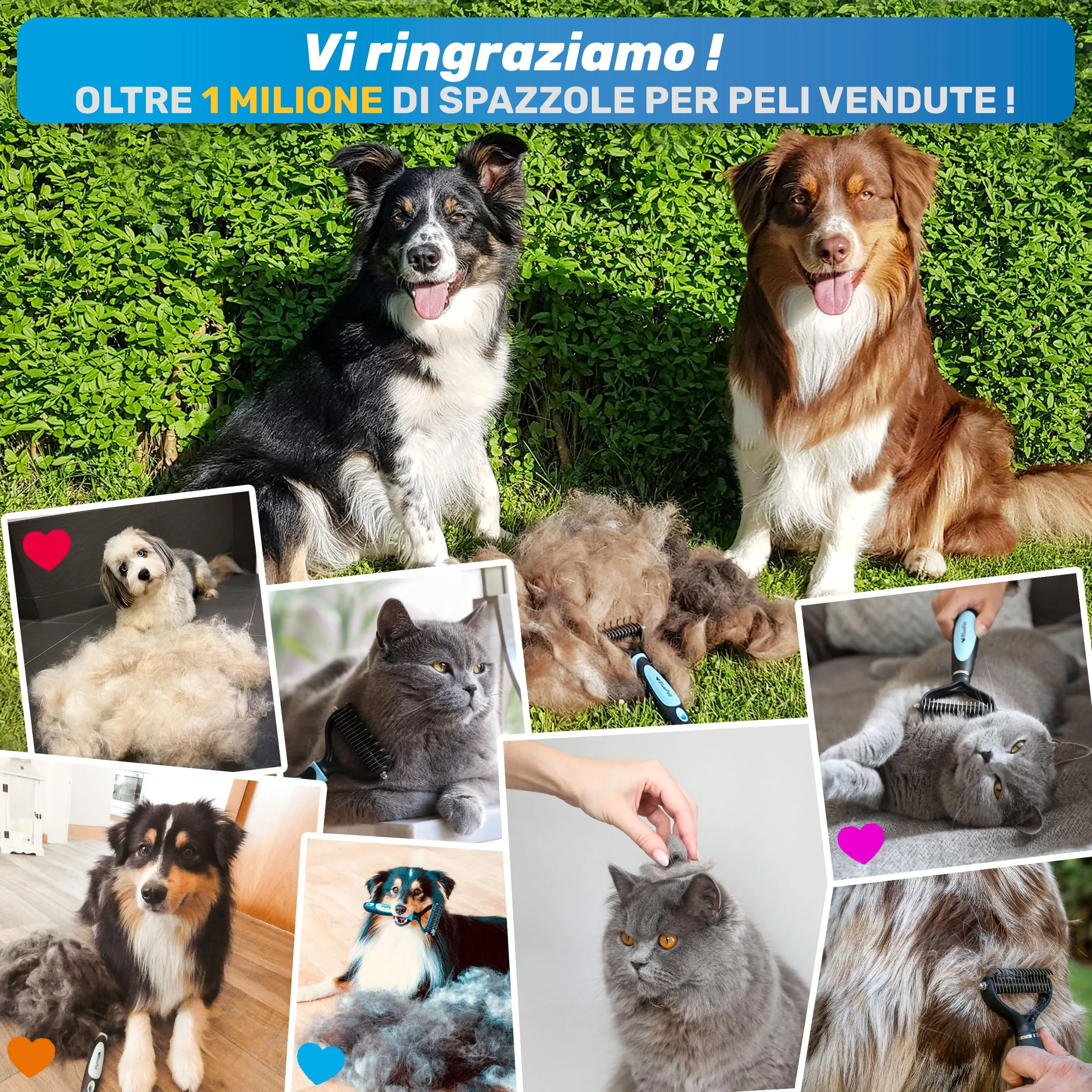 BluePet Spazzola e Pettine per Cani e Gatti, Cardatore Sottopelo per Pelo Lungo e Medio, Doppia Faccia - immagine 4