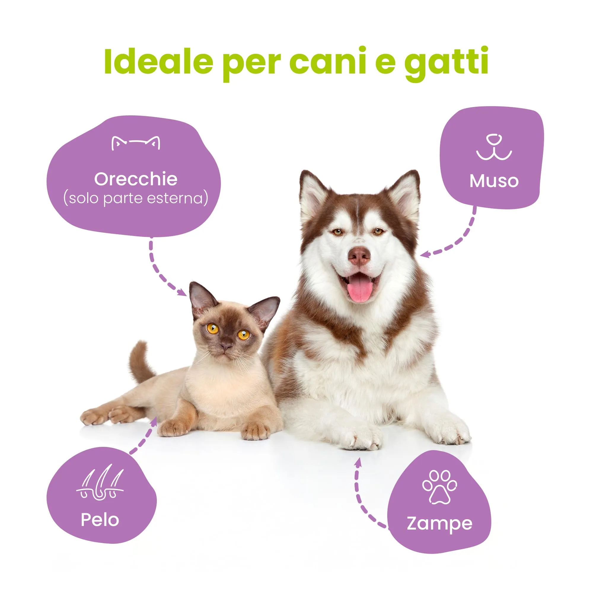 Camon Salviette Detergenti per Cani e Gatti, 30x20 cm - immagine 3