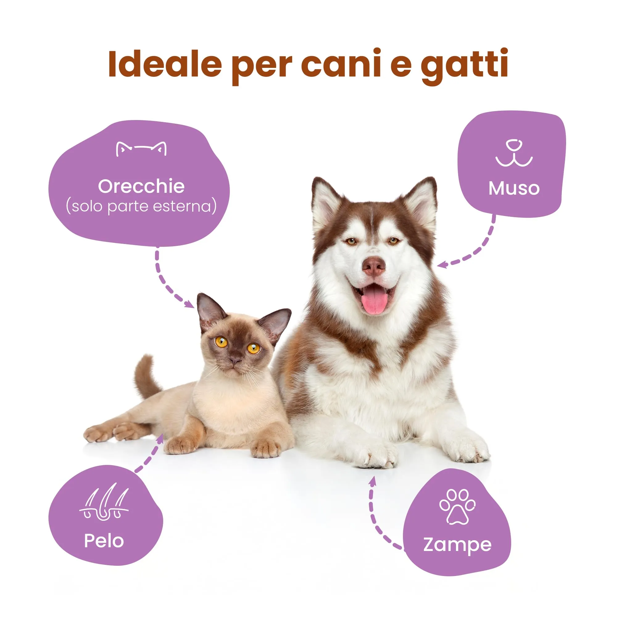 Camon Salviette Detergenti per Cani e Gatti, 30x20 cm, 40 Salviettine - immagine 3