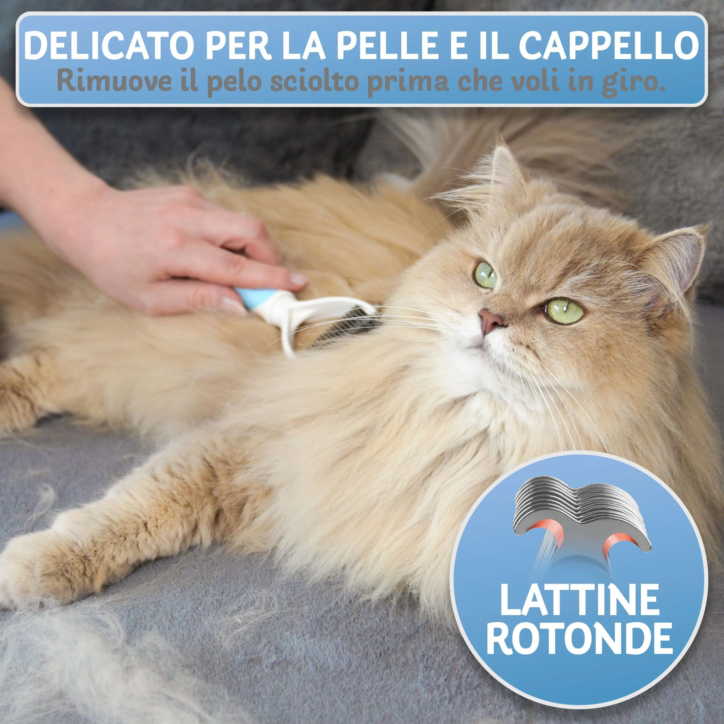 BluePet Spazzola per Gatti Pelo Lungo e Medio, Pettine Cardatore Sottopelo Doppia Faccia - immagine 3