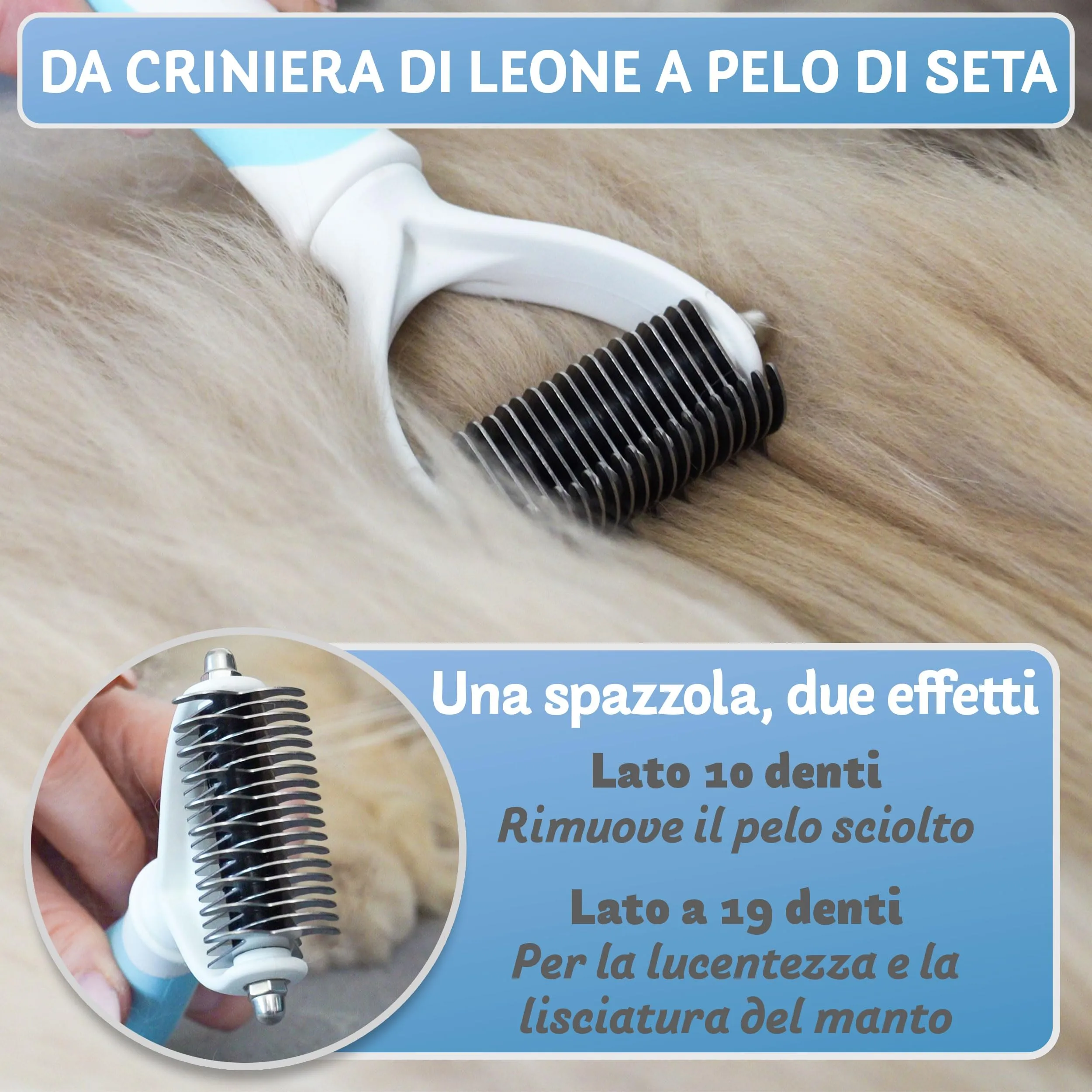 BluePet Spazzola per Gatti Pelo Lungo e Medio, Pettine Cardatore Sottopelo Doppia Faccia - immagine 4