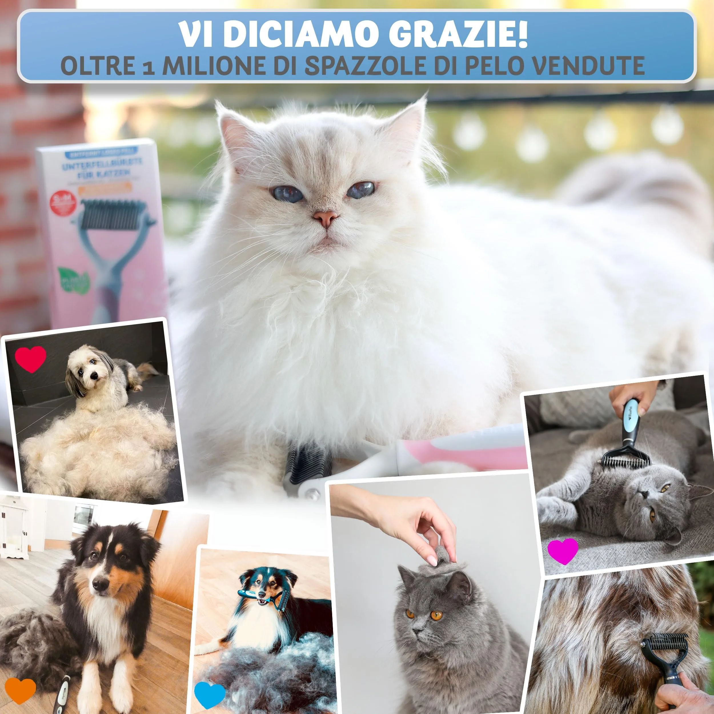 BluePet Spazzola per Gatti Pelo Lungo e Medio, Pettine Cardatore Sottopelo Doppia Faccia - immagine 5