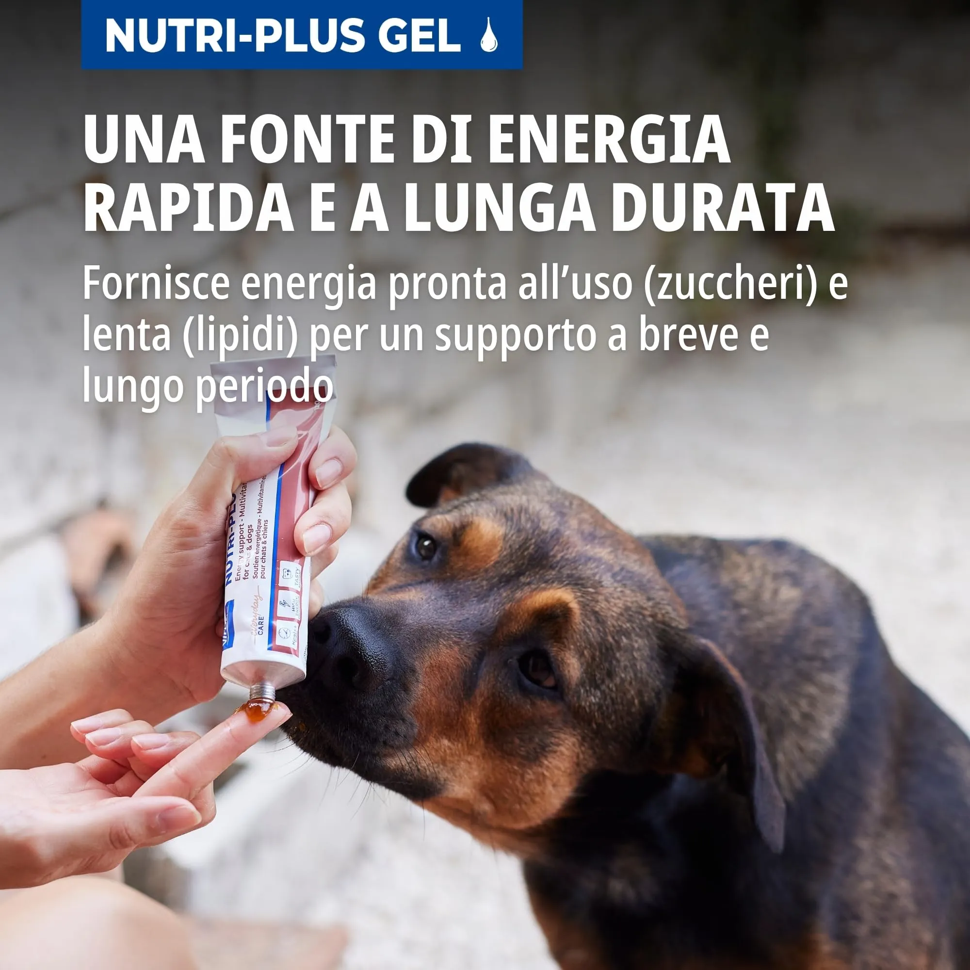 Virbac Nutri-Plus Gel Mangime Complementare per Cani e Gatti, 120 g - immagine 5