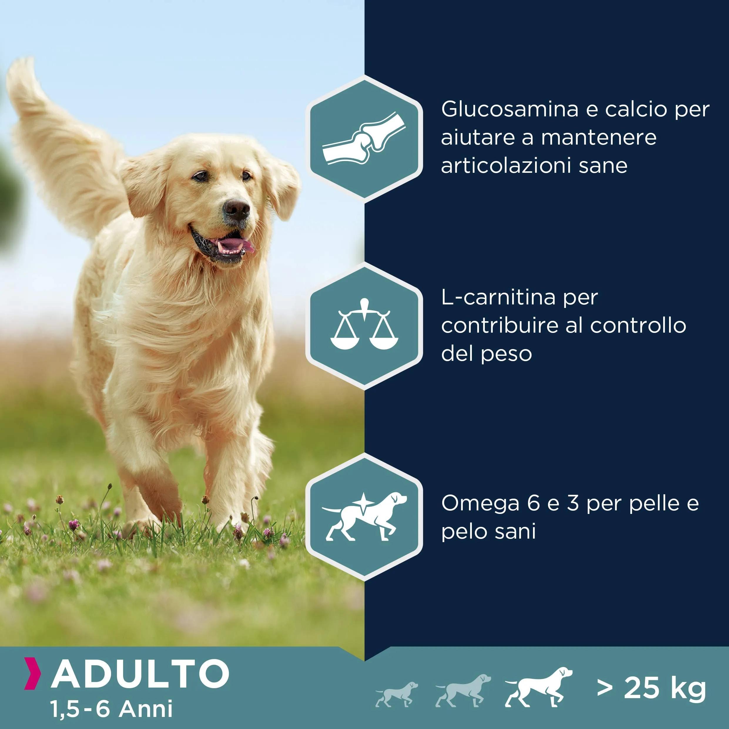 Eukanuba Cibo per cani adulti razze di taglia grande agnello e riso, 12 kg - immagine 3