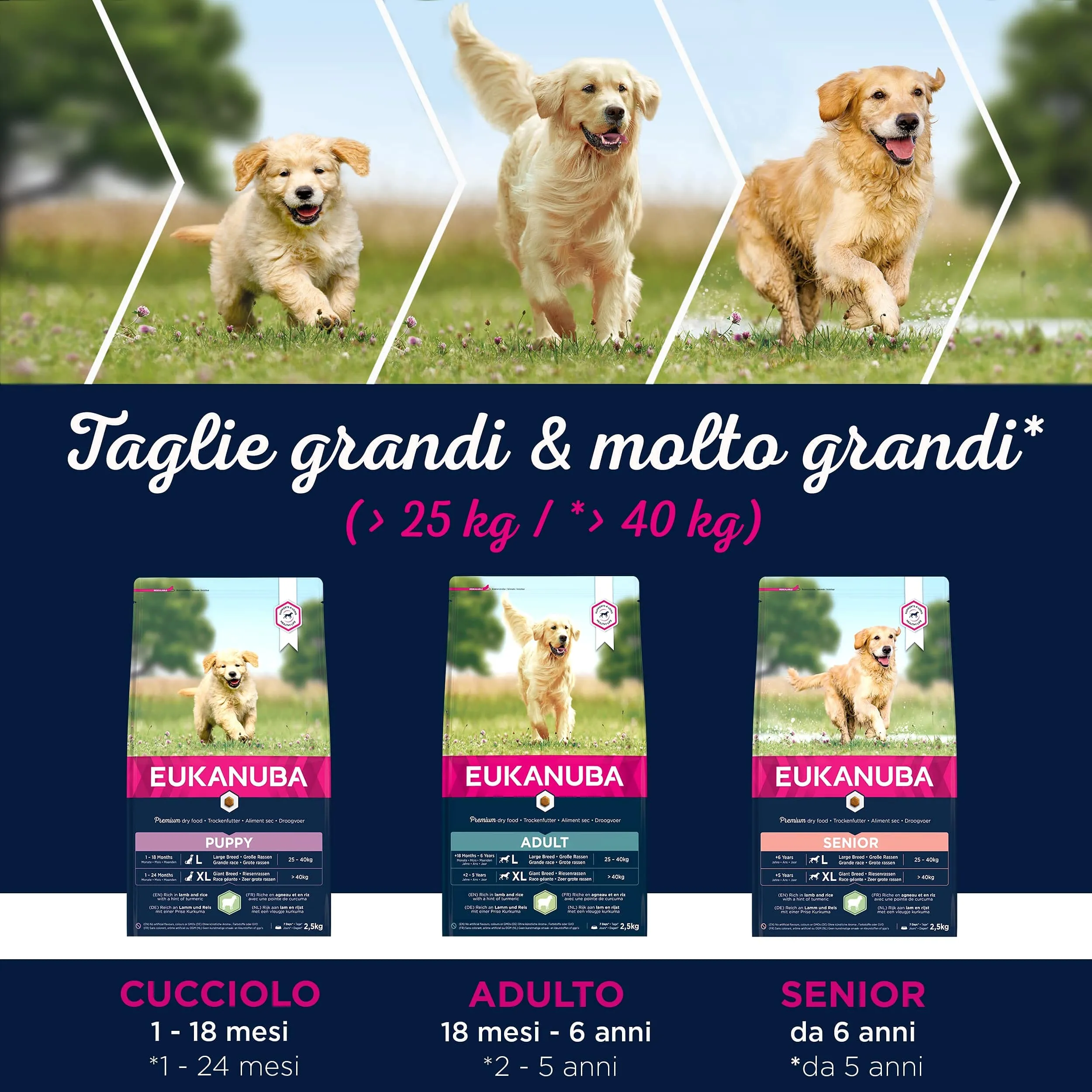 Eukanuba Cibo per cani adulti razze di taglia grande agnello e riso, 12 kg - immagine 5