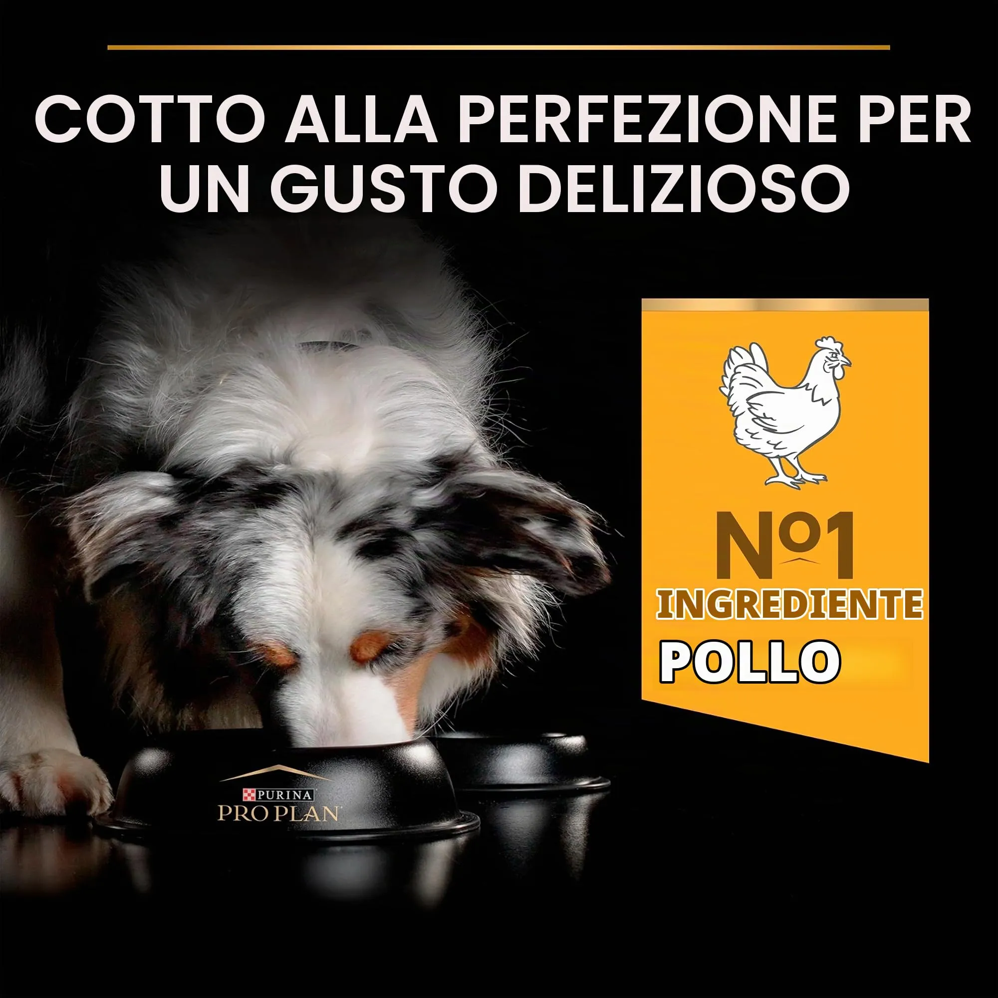 Purina Pro Plan Adult Light/Sterilized Dog Food with Chicken, All Breeds, 3 kg - immagine 5