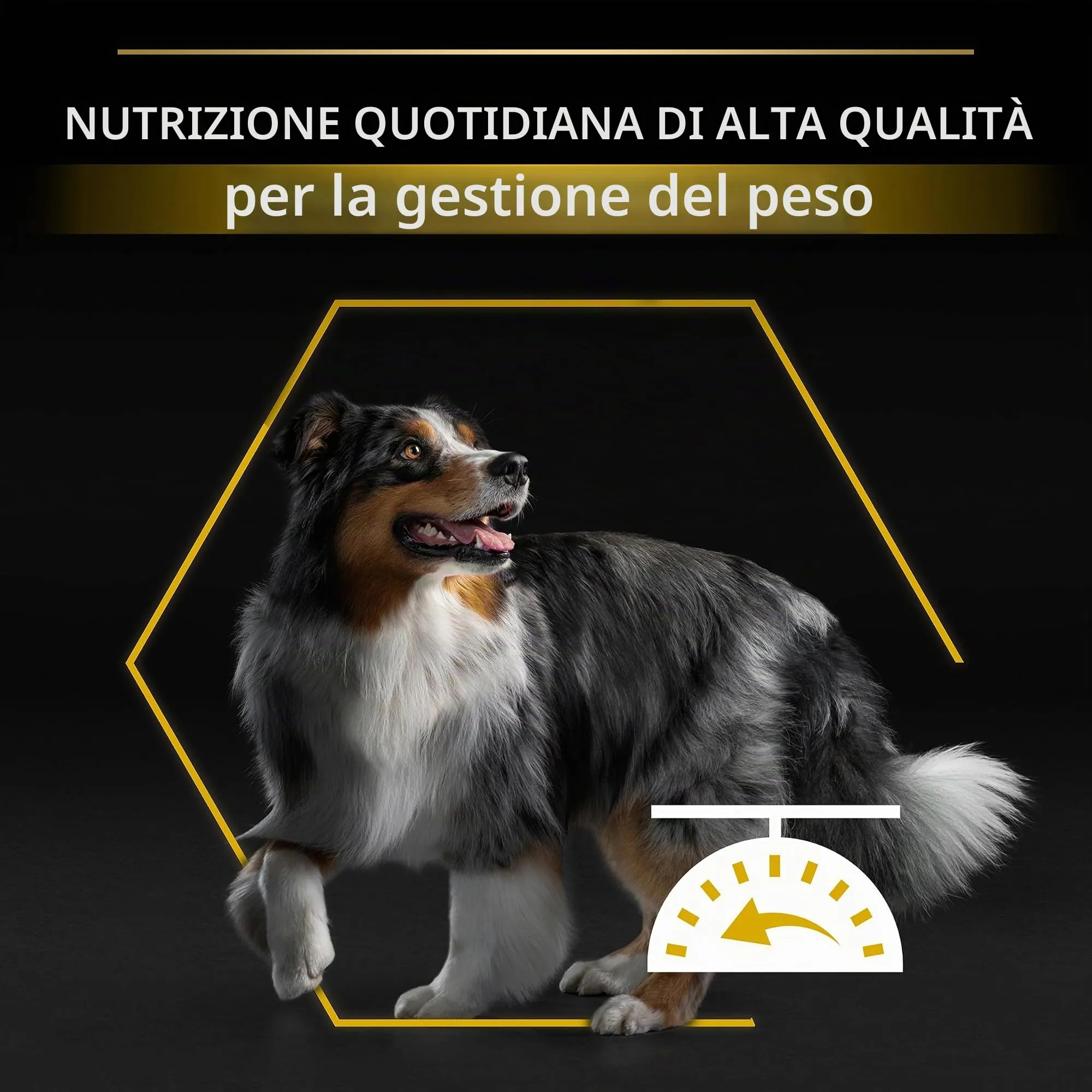 Purina Pro Plan Adult Light/Sterilized Dog Food with Chicken, All Breeds, 3 kg - immagine 7