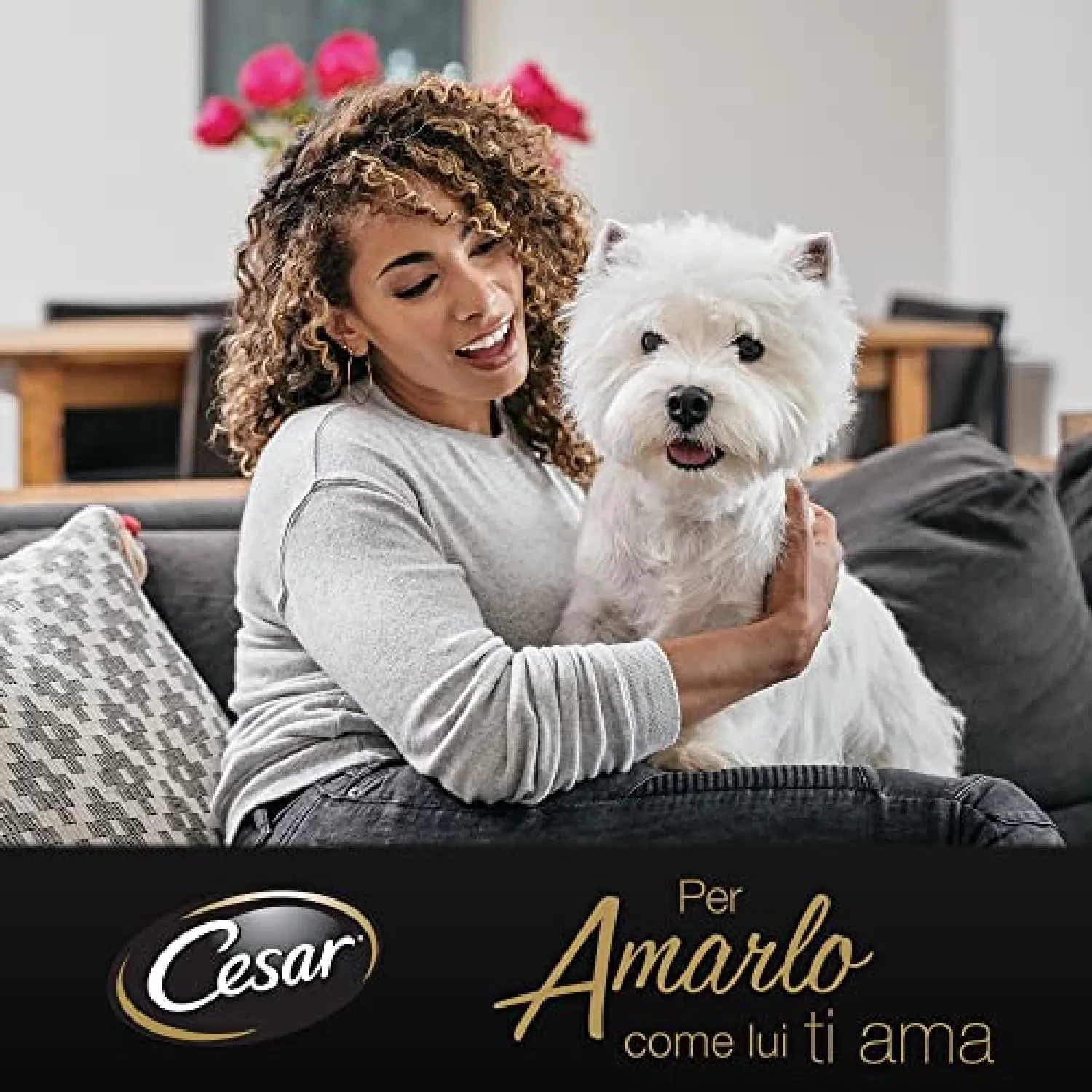 Cesar Selezione in Salsa, Cibo Umido per Cani, Gusti Assortiti con Carne e Verdure, 96 Bustine da 100 g - immagine 5