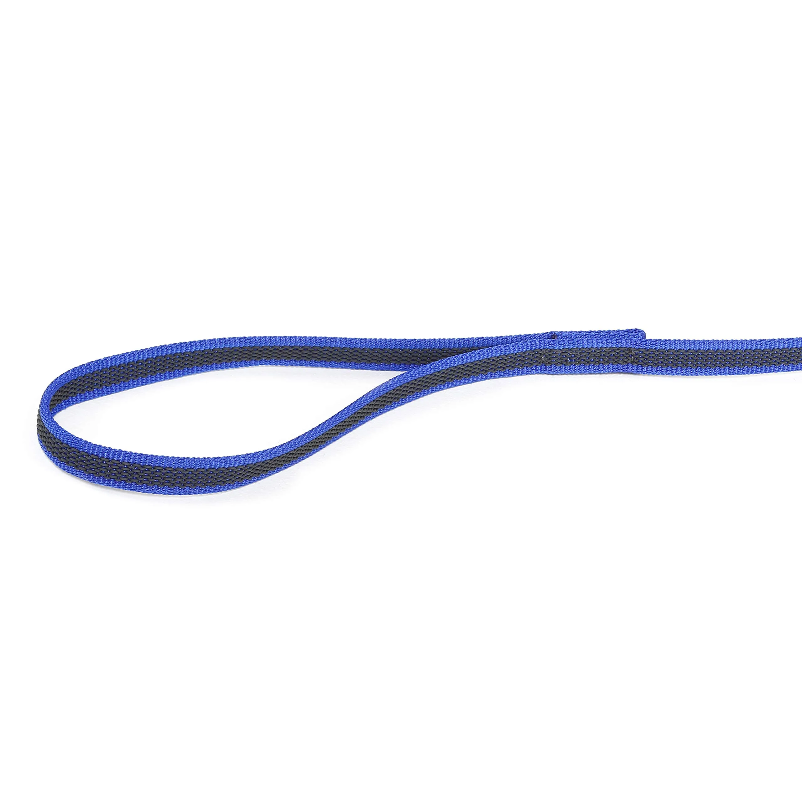 Julius-K9 Super Presa Guinzaglio con Manico, 14 mm x 10 m, Blu - immagine 4