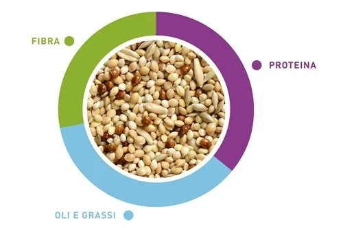 Padovan Naturalmix Cocorite Alimento Completo per Cocorite, 20 kg - immagine 2