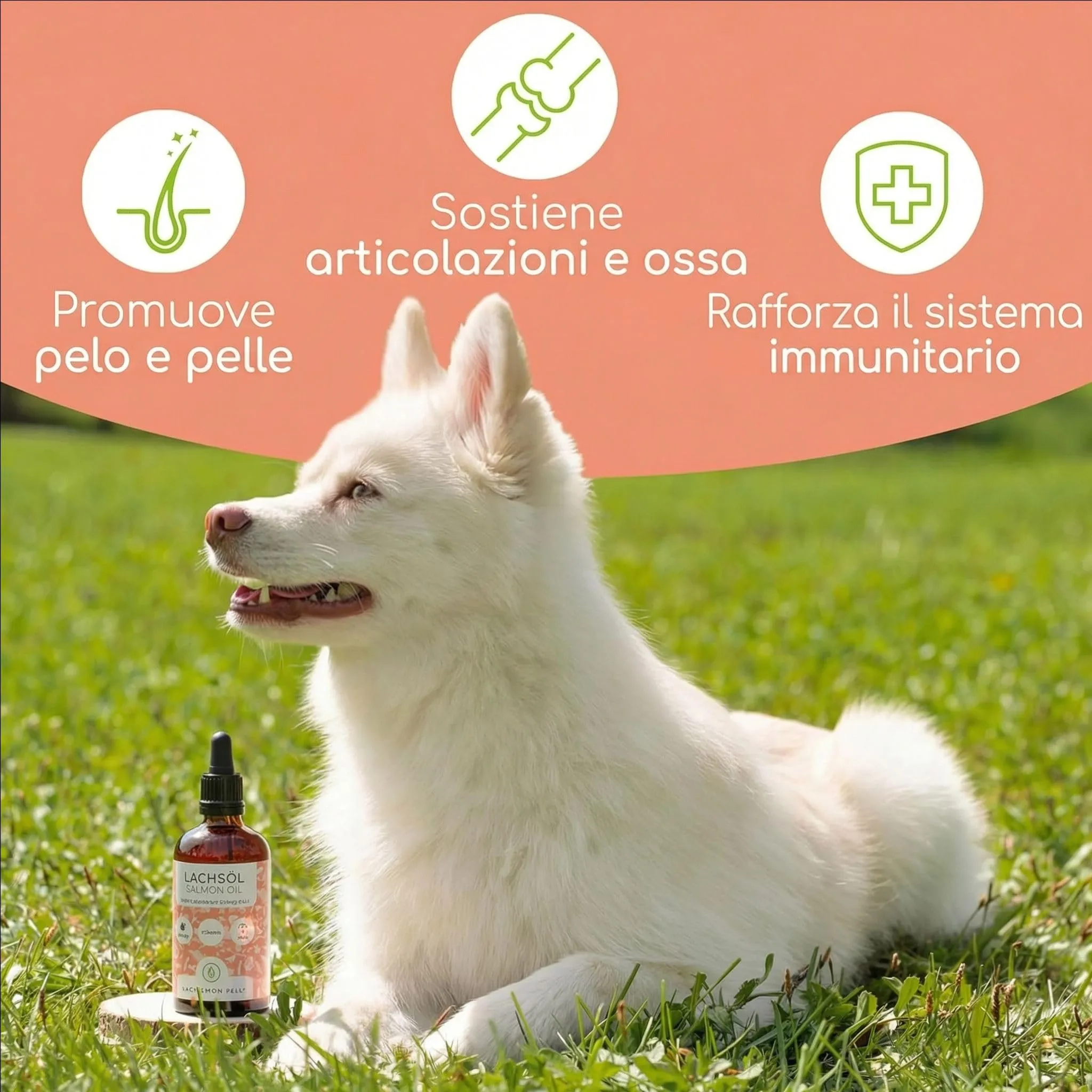 Wolfsbacher Olio di Salmone Naturale Norvegese per Cani, 100ml - immagine 2
