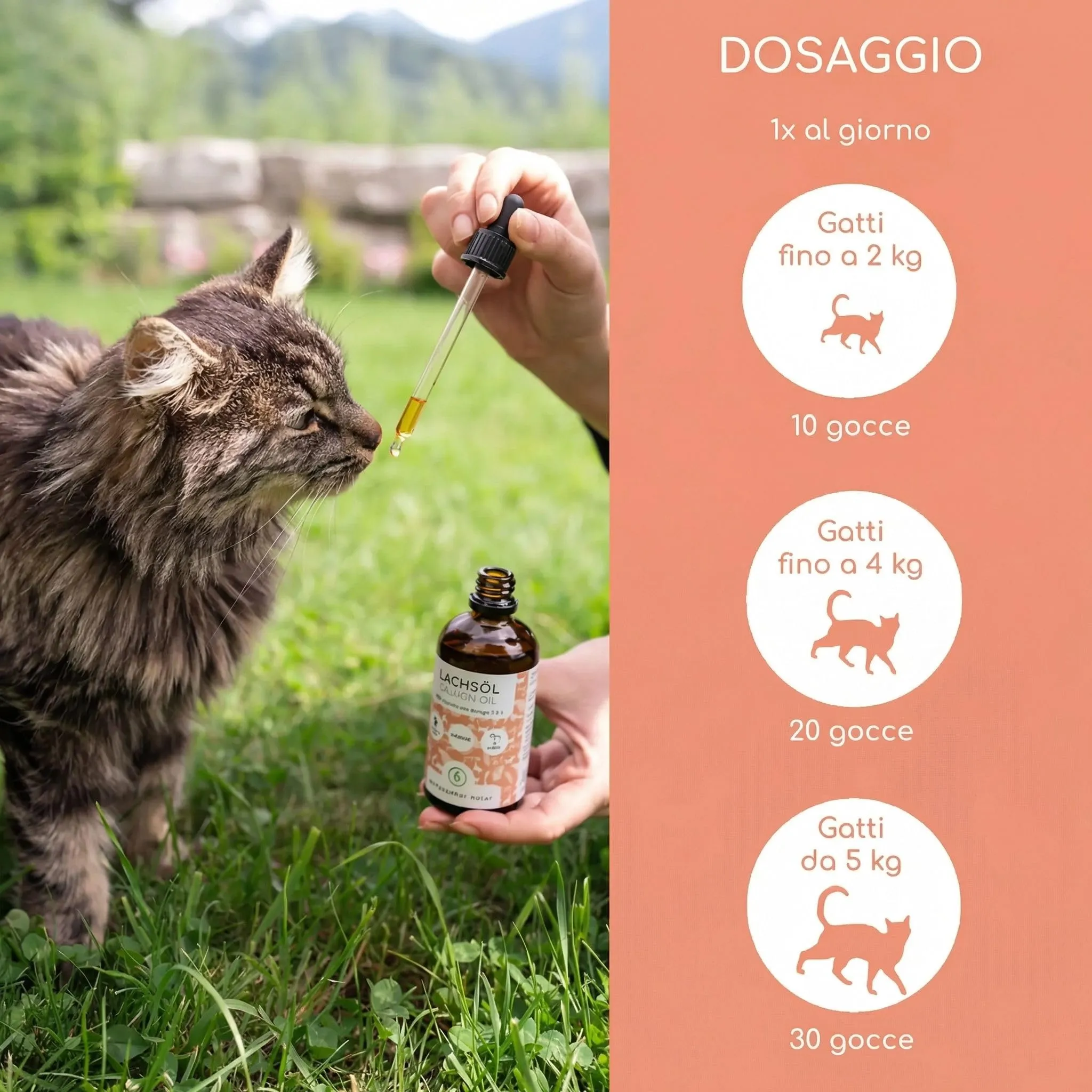 Wolfsbacher Olio di Salmone per Gatti con Omega 3 & 6, 100ml - immagine 4