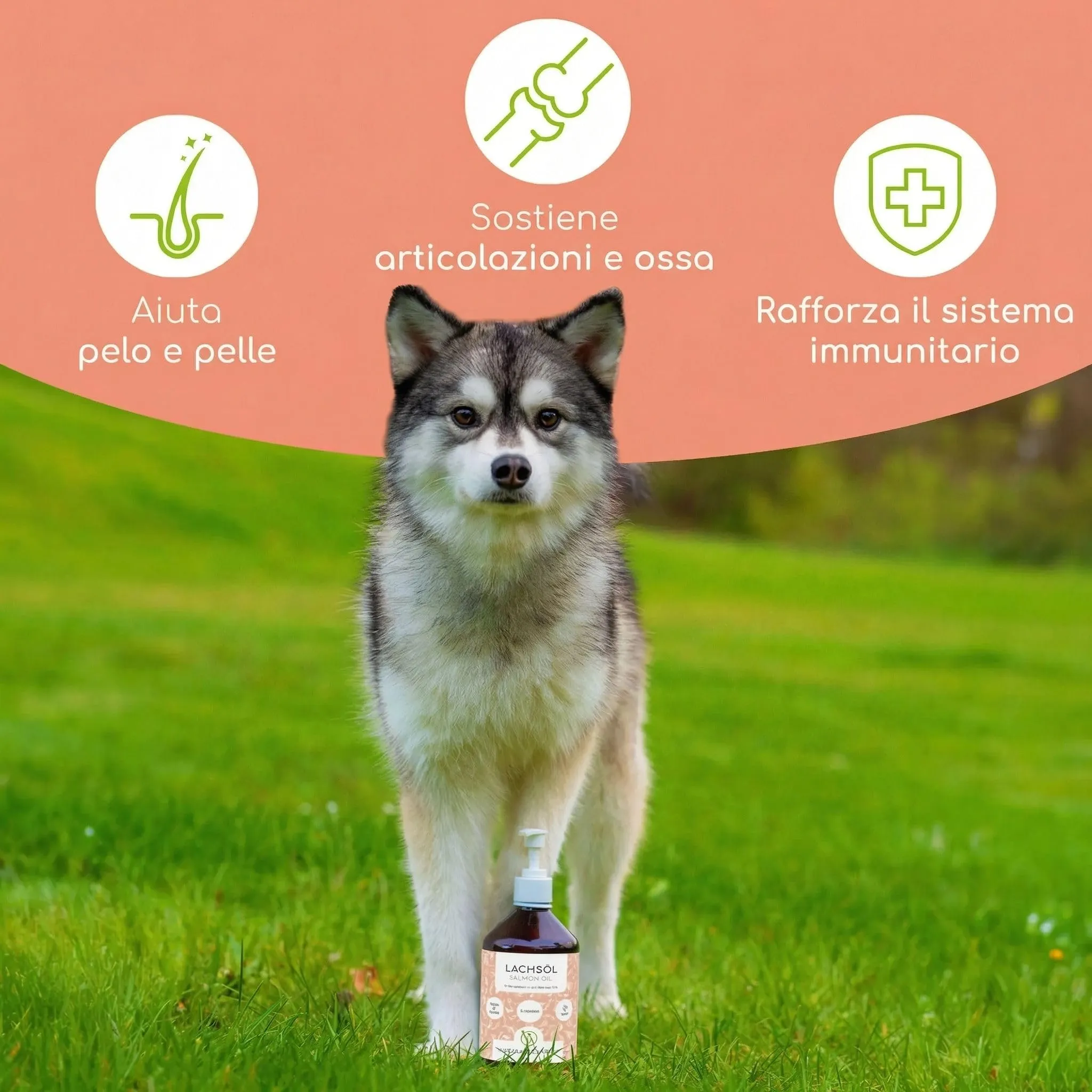 Wolfsbacher Olio di Salmone Naturale Norvegese per Cani e Gatti, 500ml - immagine 2