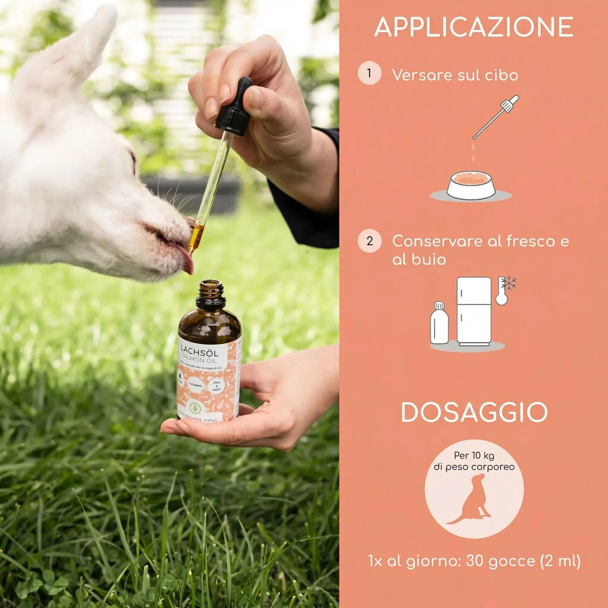 Wolfsbacher Olio di Salmone per Cani con Omega 3 & 6, 1 Litro - immagine 4