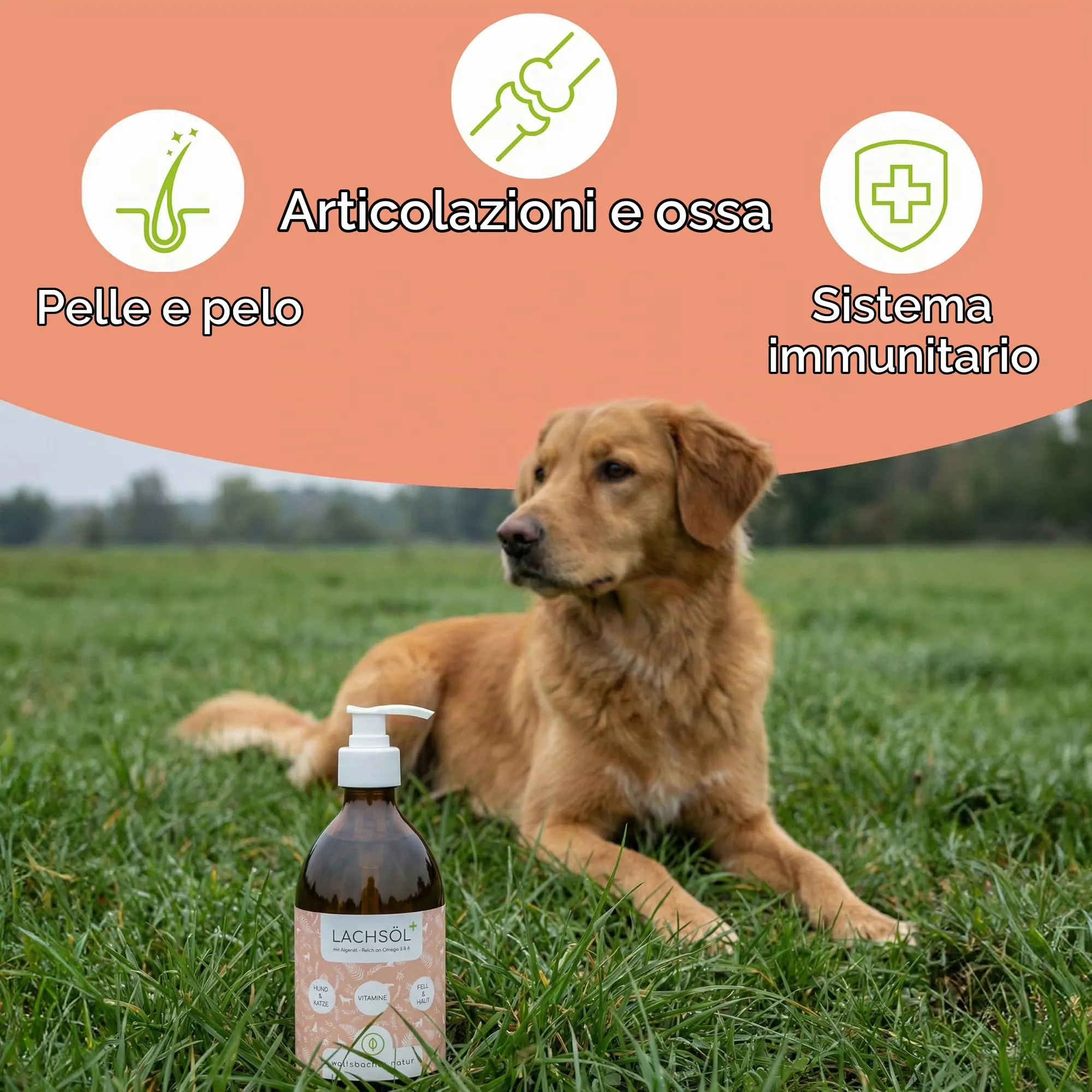 Wolfsbacher Olio di Salmone Plus con Olio di Alghe per Cani e Gatti, 500ml - immagine 2