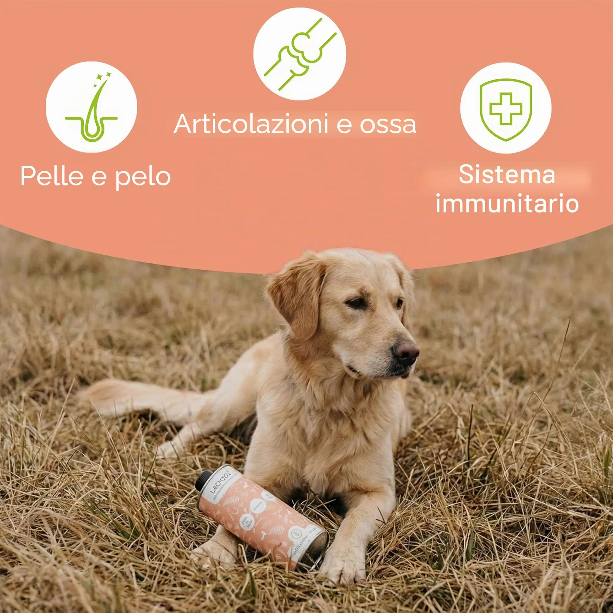 Wolfsbacher Olio di Salmone Plus con Olio di Alghe per Cani e Gatti, 250ml - immagine 2