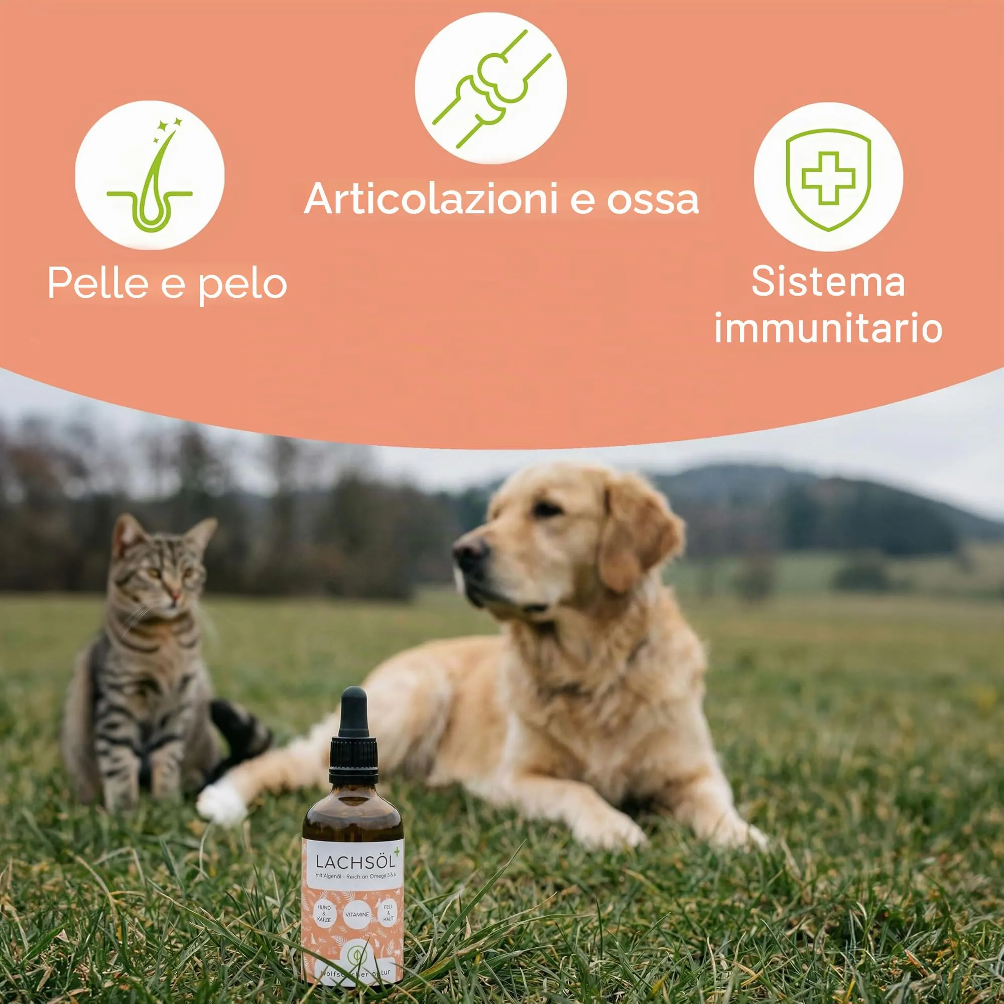 Wolfsbacher Olio di Salmone Plus 100ml con Olio di Alghe per Cani e Gatti - immagine 2
