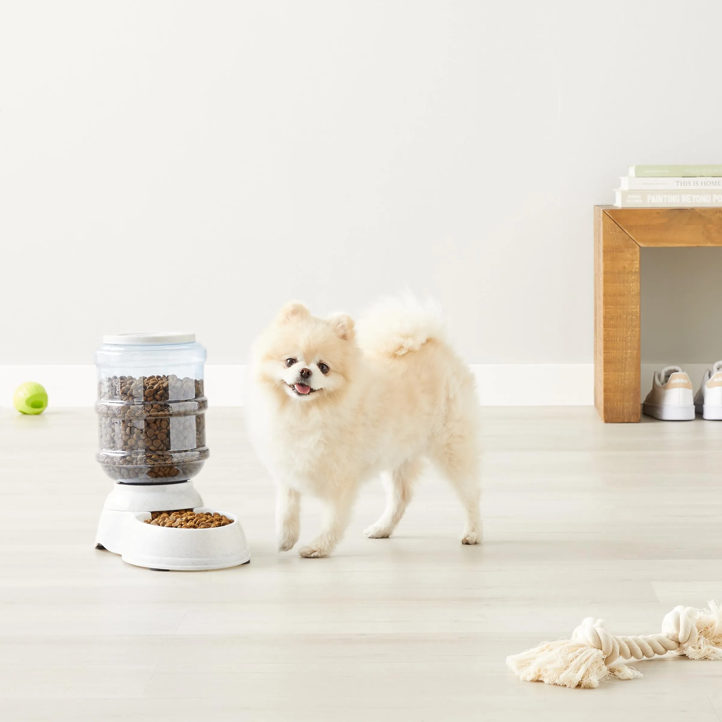 Amazon Basics Distributore di cibo per animali domestici, Small - immagine 7