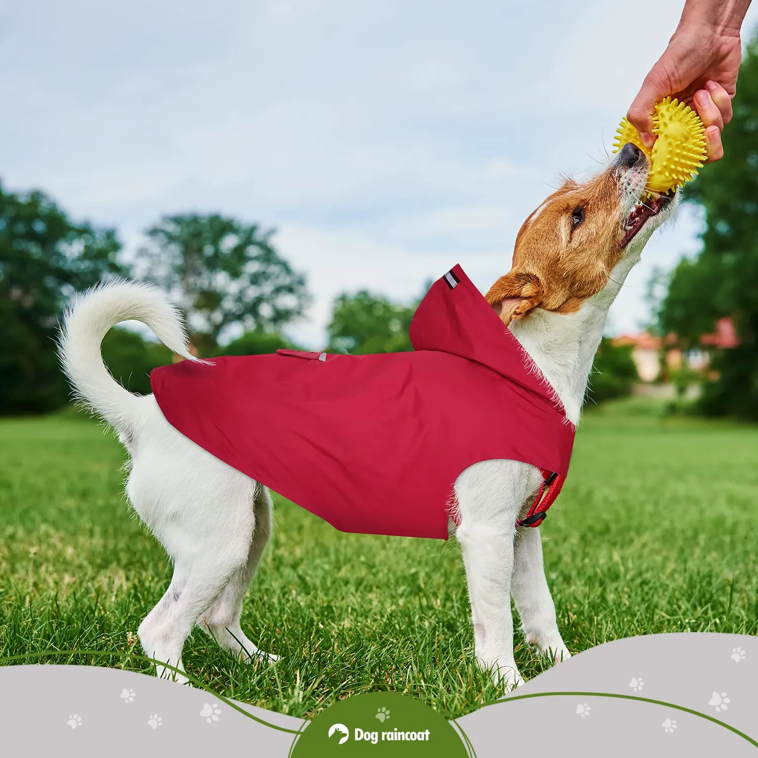 Zellar Impermeabile per Cani con Cappuccio, Foro per Colletto e Strisce Riflettenti, Taglia Media Large, Rosso - immagine 6