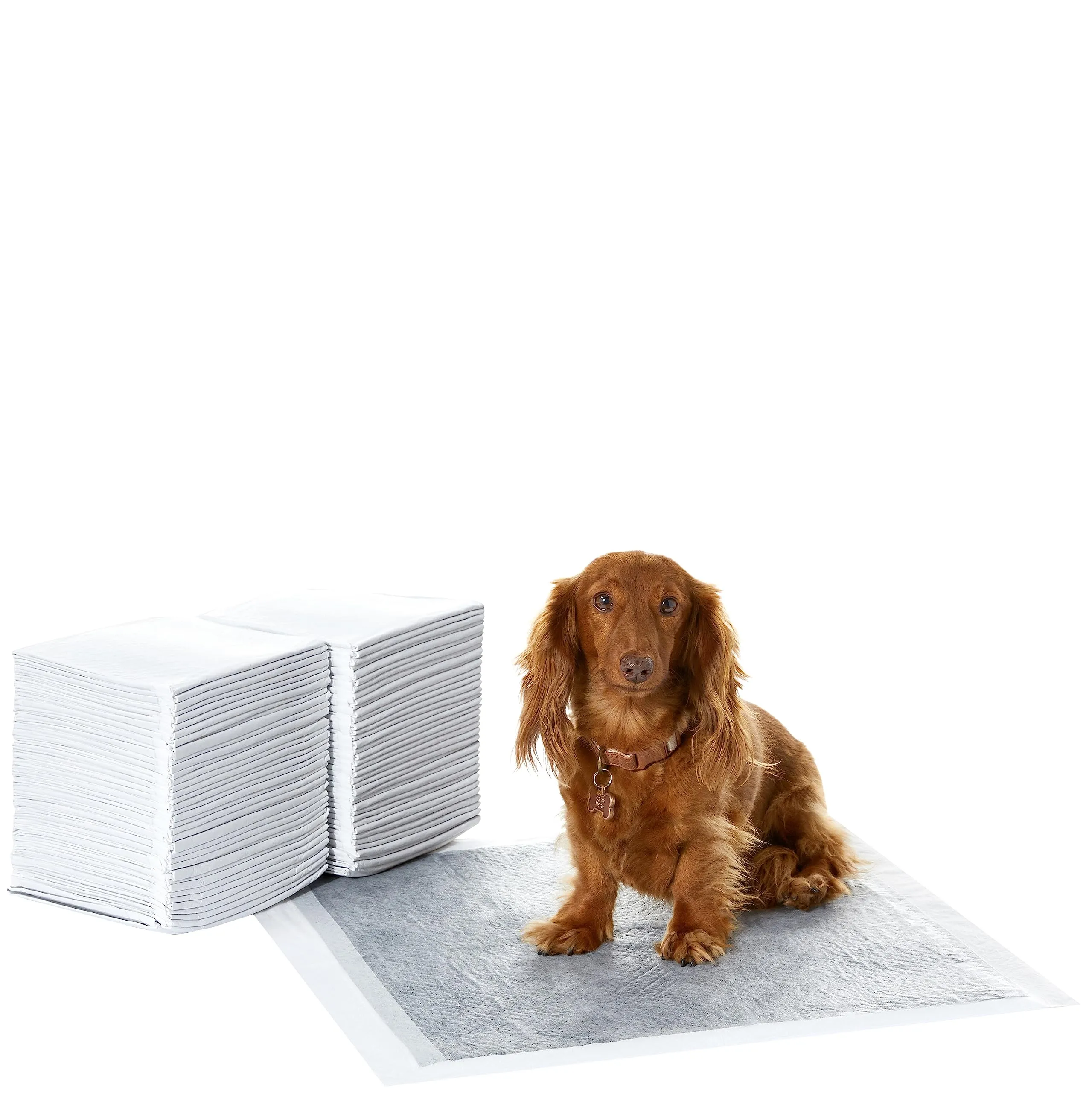 Amazon Basics Tappetini al carbone per addestramento cani e cuccioli, a prova di perdite, Standard (confezione da 80), Grigio - immagine 1