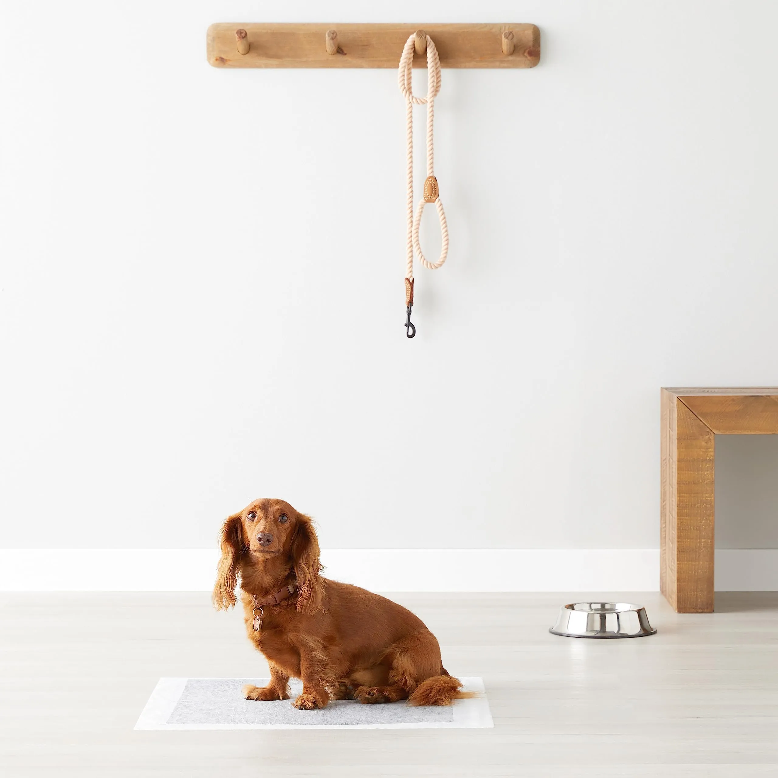 Amazon Basics Tappetini al carbone per addestramento cani e cuccioli, a prova di perdite, Standard (confezione da 80), Grigio - immagine 7