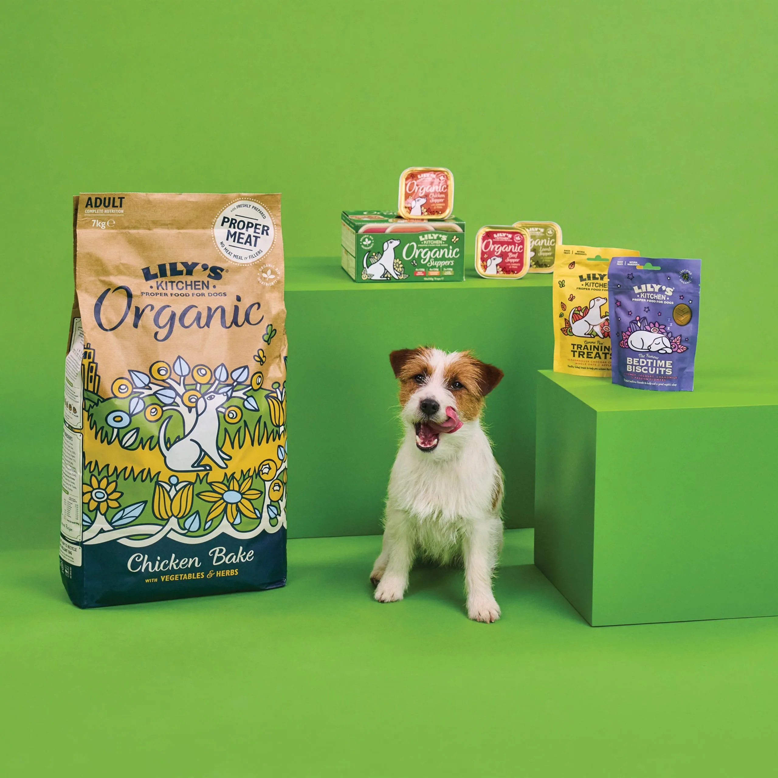 Lily's Kitchen Cibo secco per cani adulti Pollo arrosto 1kg - immagine 2