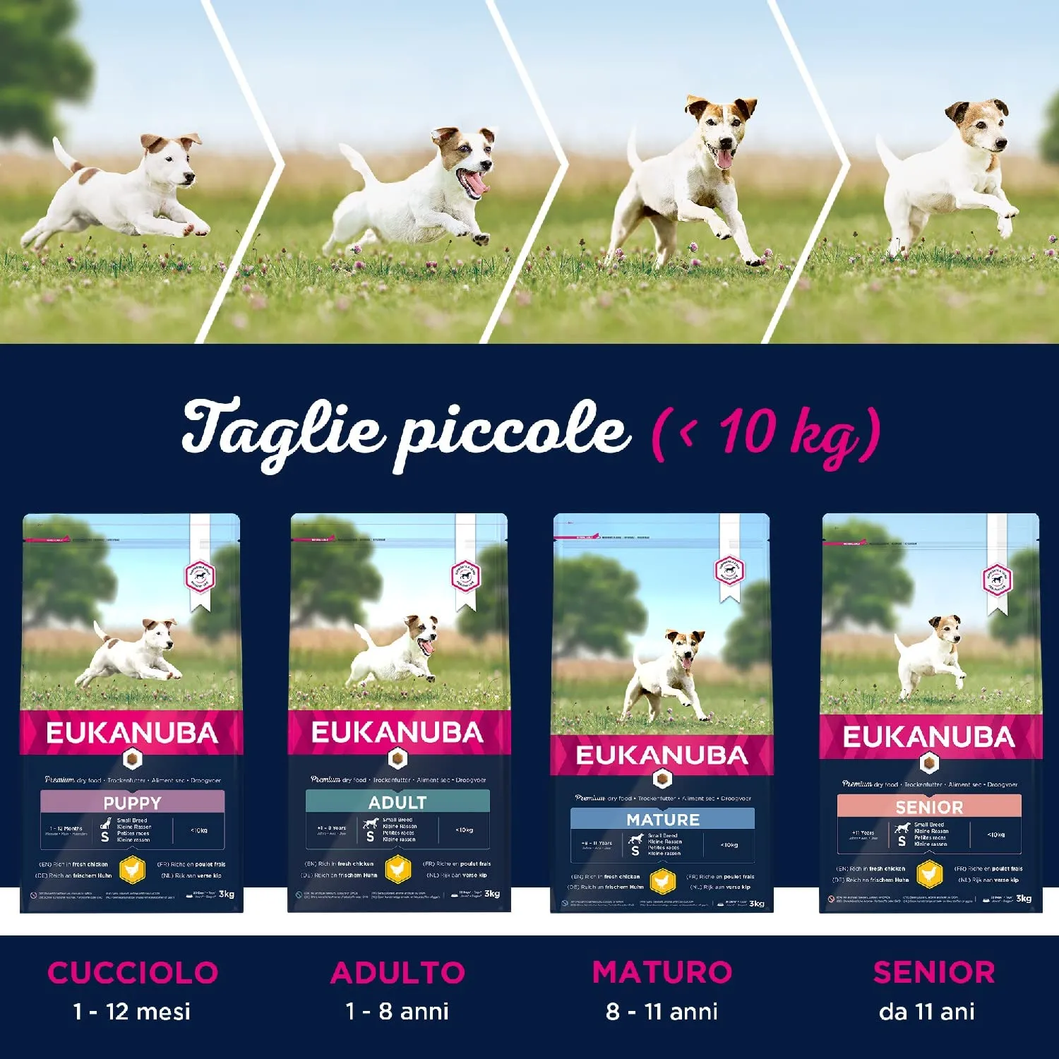 Eukanuba Cibo per cani adulti di piccola taglia al pollo, 3 kg - immagine 5