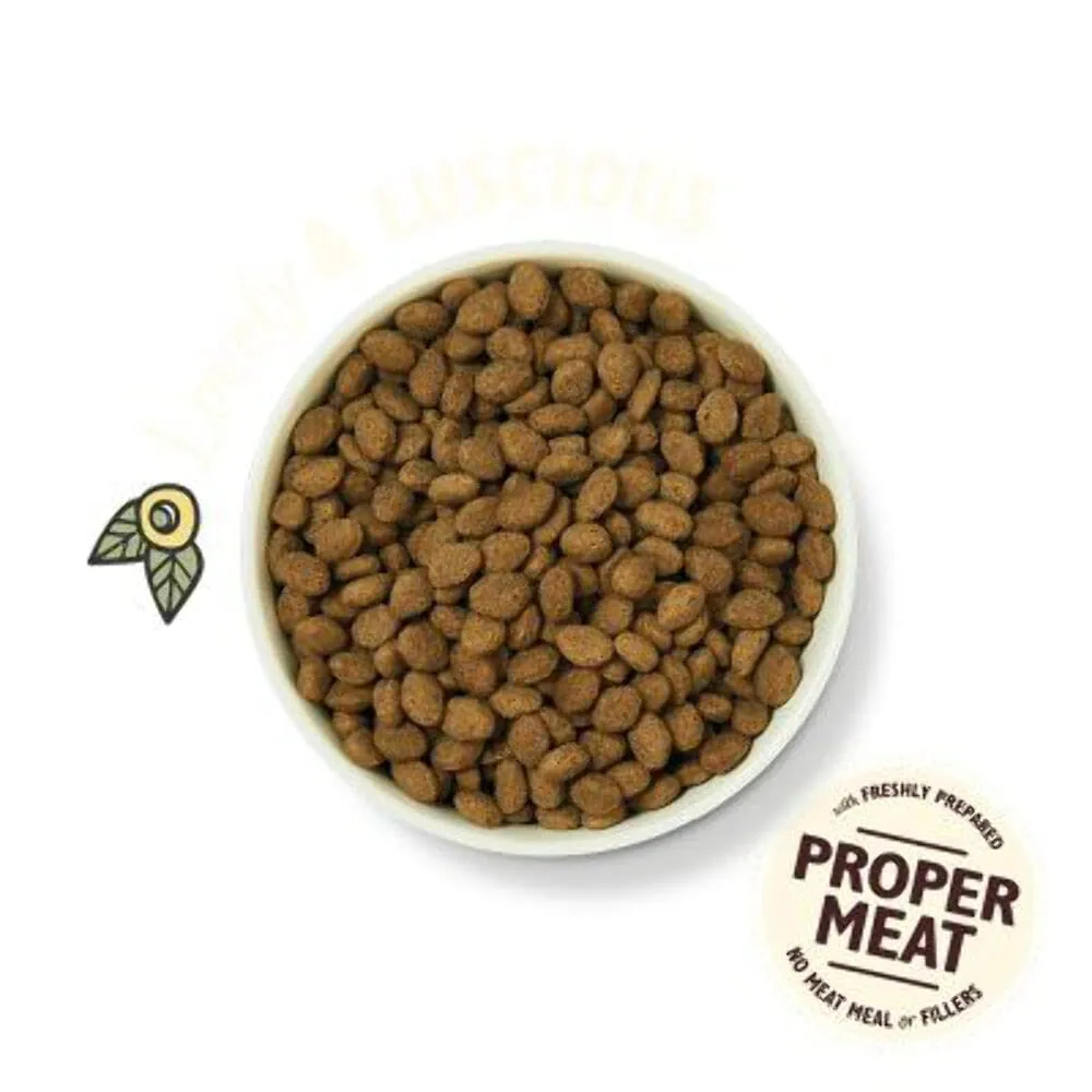 Lily's Kitchen Agnello, 1 kg - immagine 3