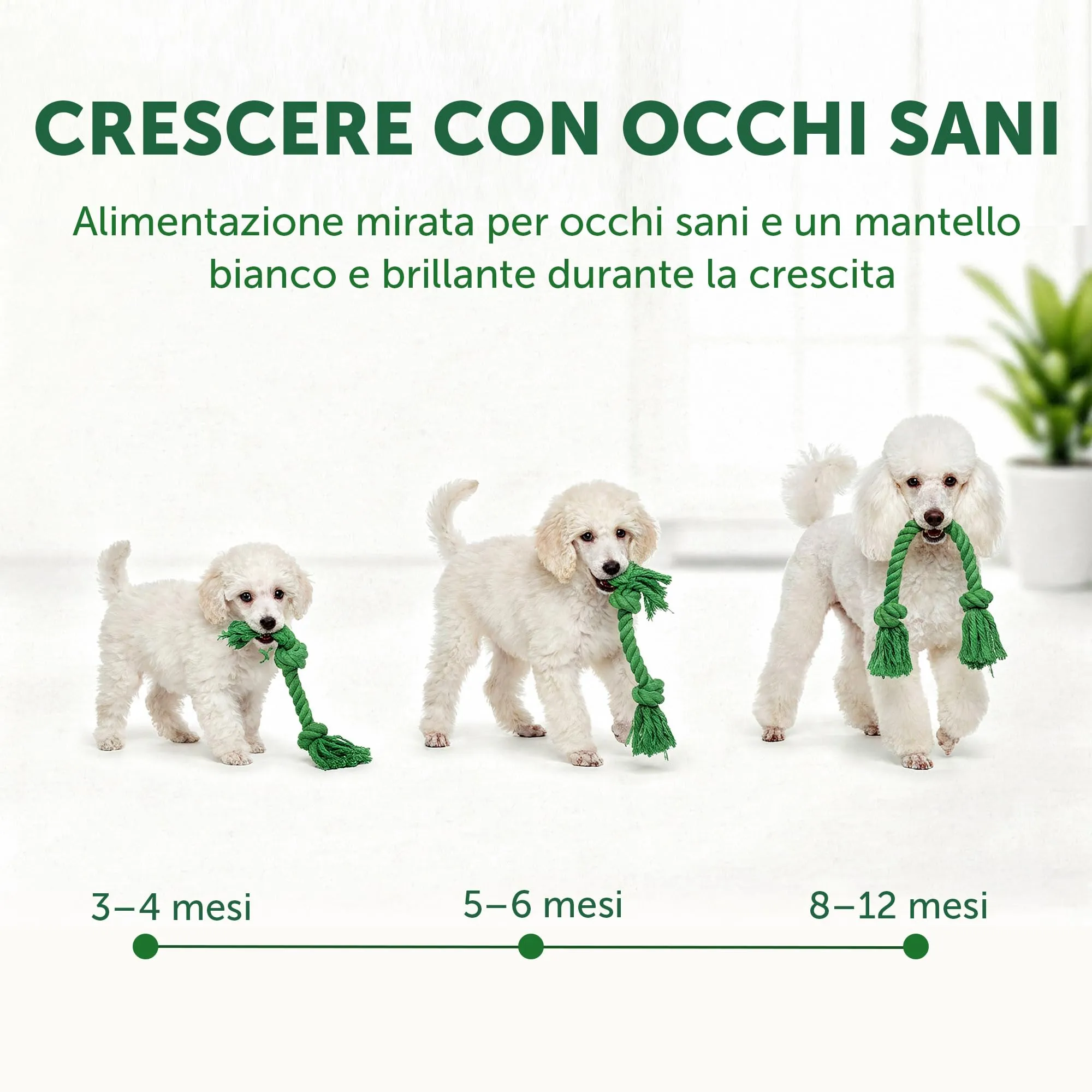 Nature's Protection Superior Care Cibo secco cuccioli, Pesce bianco, 10 kg - immagine 2