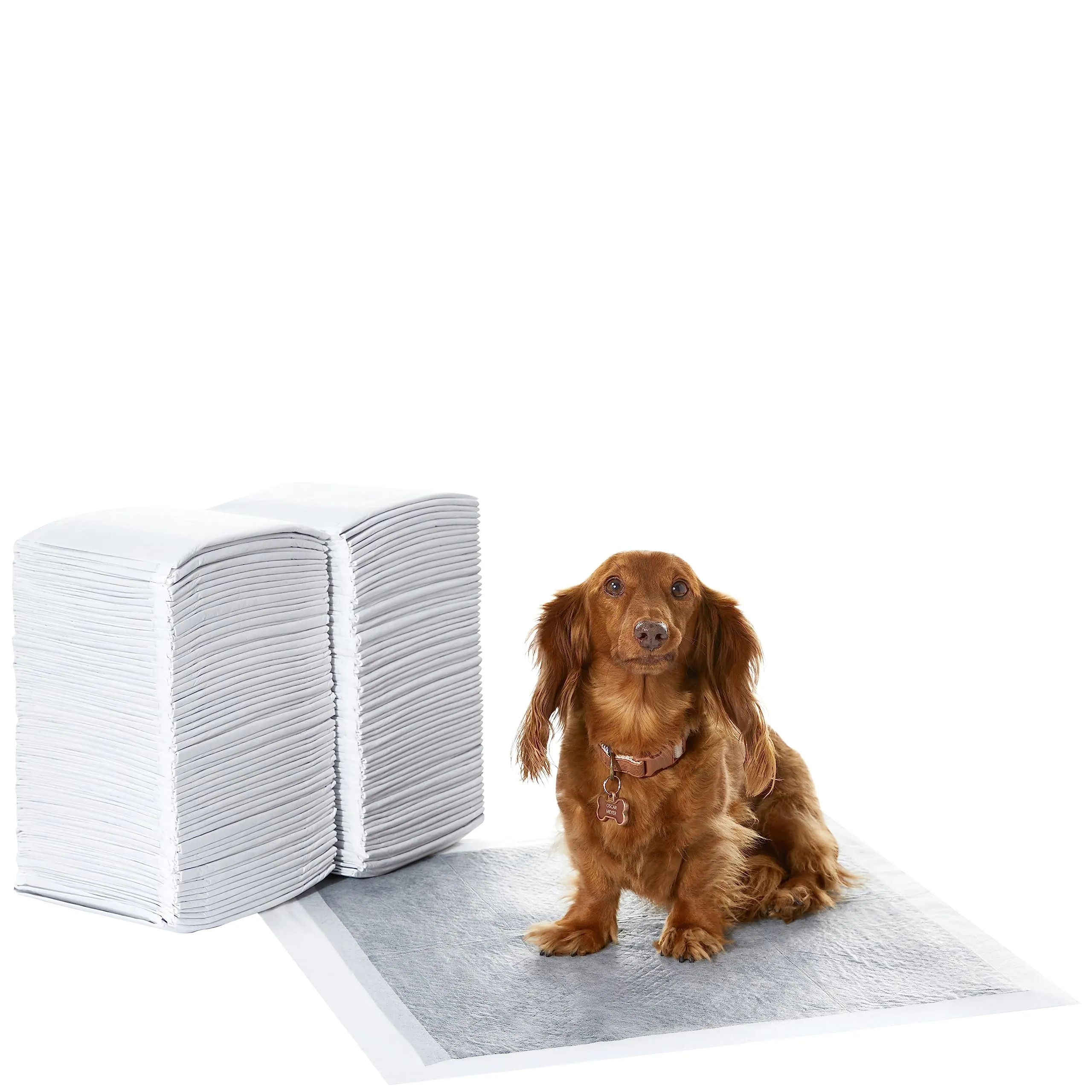 Amazon Basics Tappetini al carbone per addestramento cani e cuccioli, prova perdite, dimensione standard, confezione da 120, grigio - immagine 1