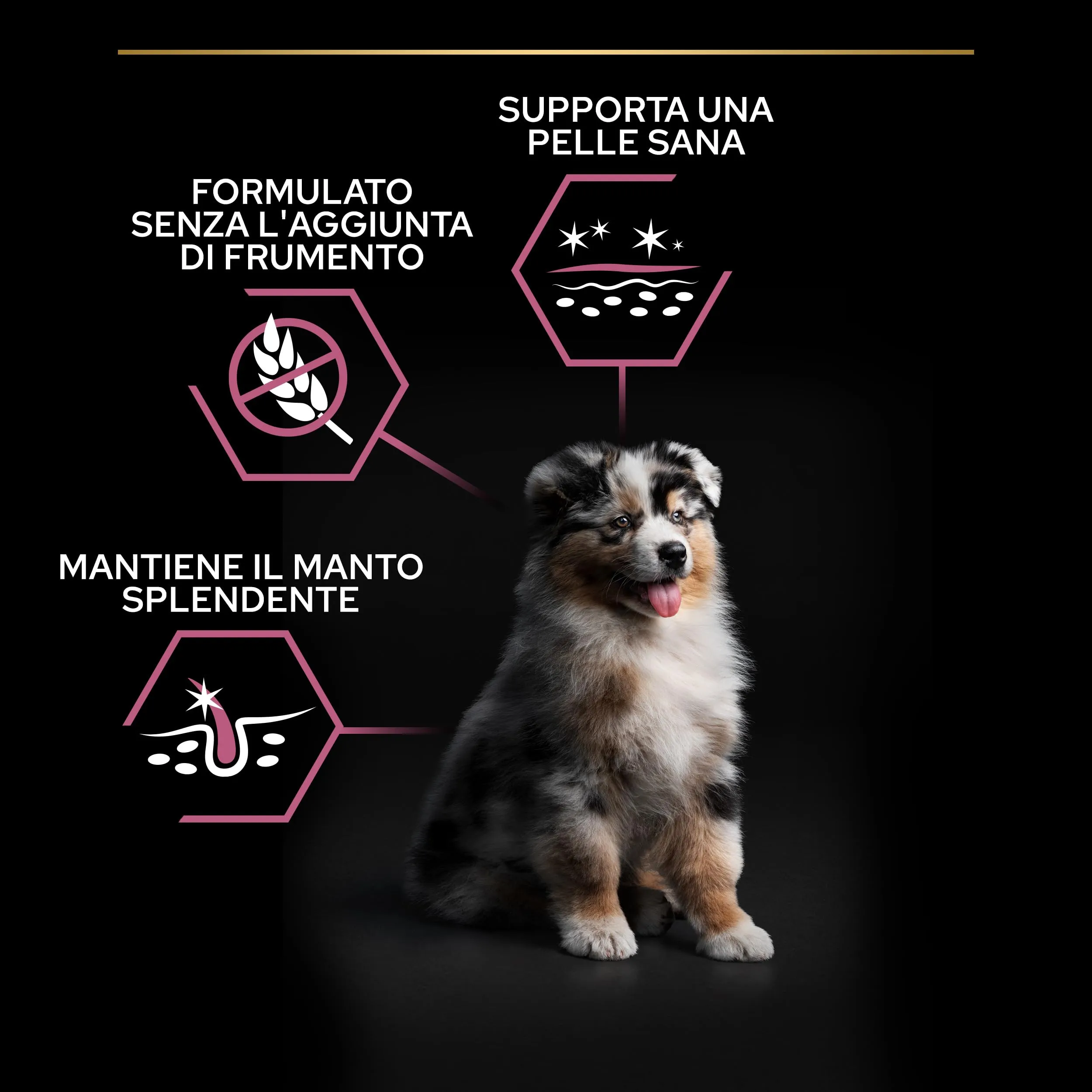 Purina Pro Plan Puppy Medium Sensitive Skin 12 kg - immagine 5